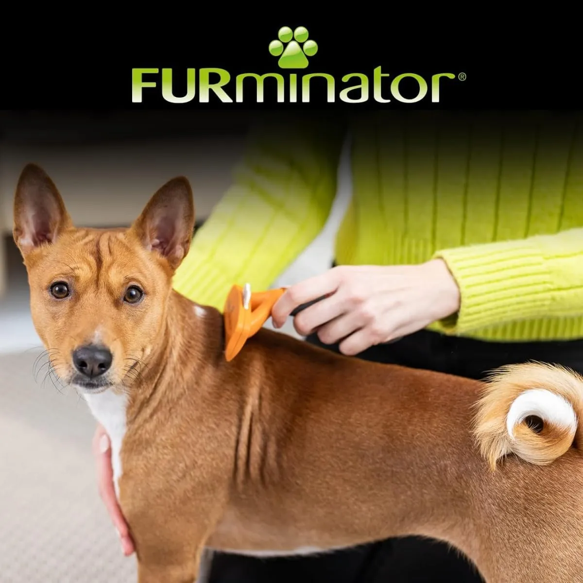 FURminator Strumento di deshedding per cani medi a pelo corto, M - immagine 7