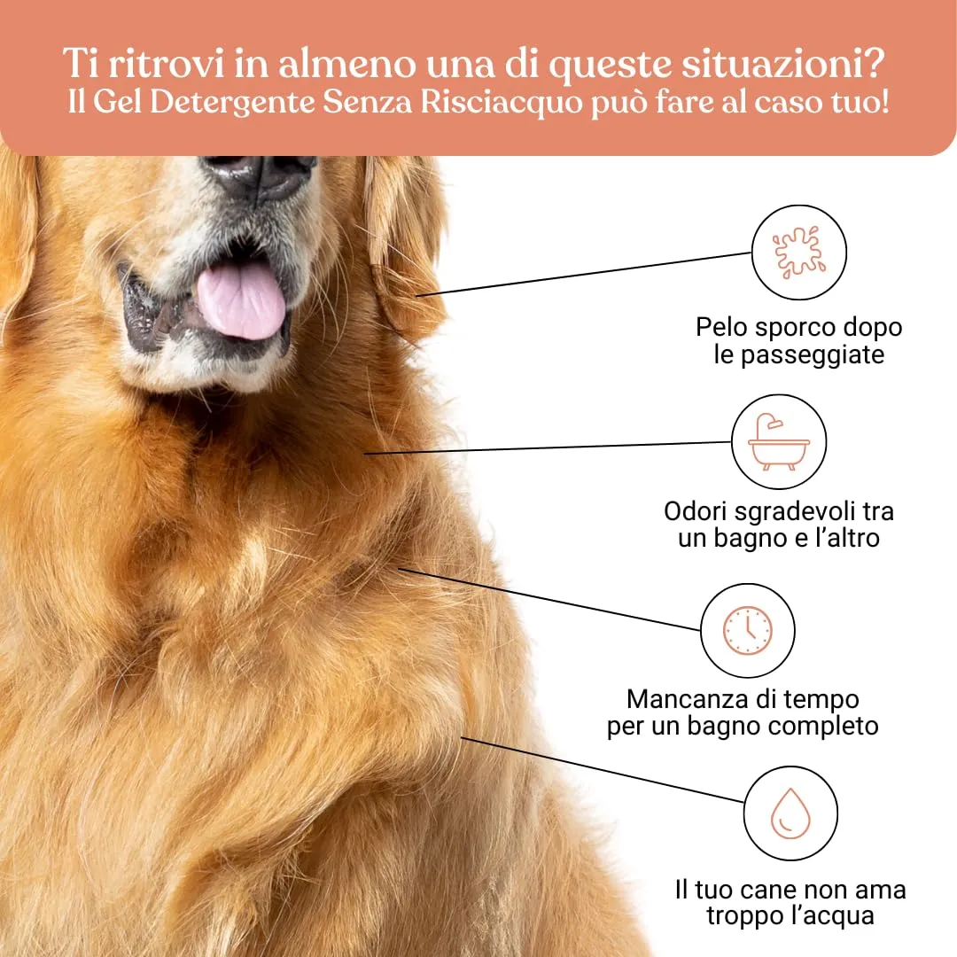 Bau Shampoo Secco Gel Detergente Senza Risciacquo per Cani con Aloe Vera, Pesca, 250 ml - immagine 3