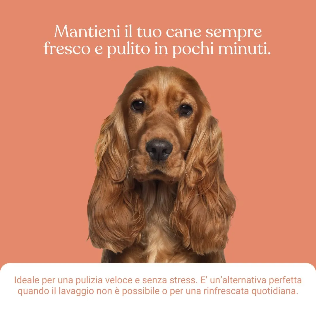 Bau Shampoo Secco Gel Detergente Senza Risciacquo per Cani con Aloe Vera, Pesca, 250 ml - immagine 5