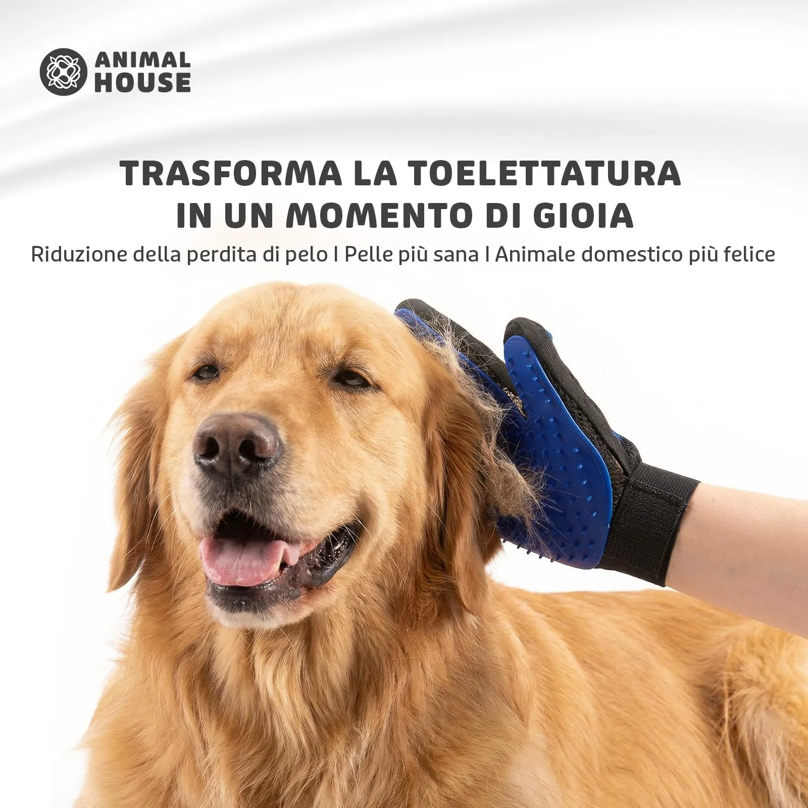 Animal House Guanti per Toelettatura Cani e Gatti, Massaggianti (Blu) - immagine 5