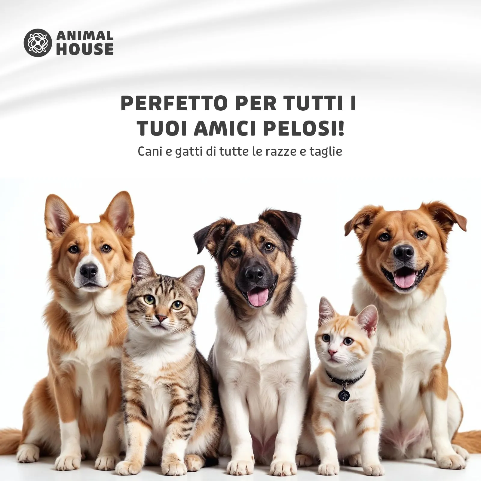 Animal House Guanti per Toelettatura Cani e Gatti, Massaggianti (Blu) - immagine 6