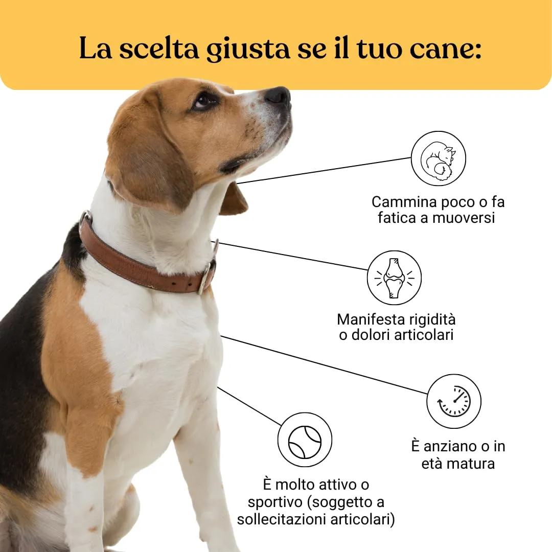 Bau Integratore Articolazioni per Cane Adulto e Anziano con Condroitina e Cozza Verde, 60cps - immagine 3