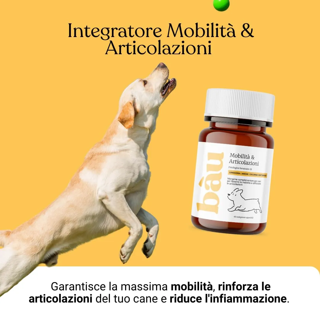 Bau Integratore Articolazioni per Cane Adulto e Anziano con Condroitina e Cozza Verde, 60cps - immagine 4