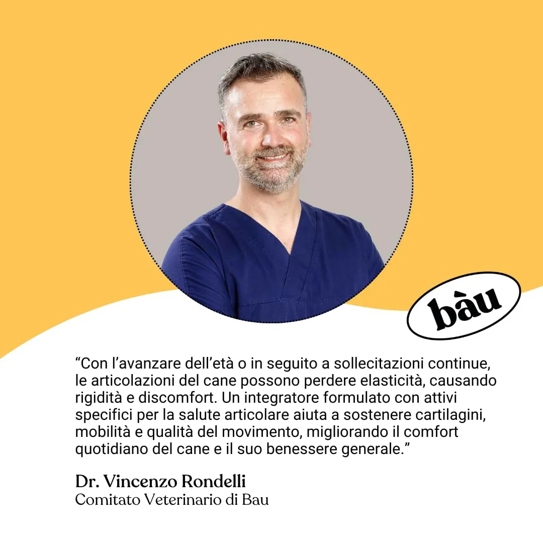 Bau Integratore Articolazioni per Cane Adulto e Anziano con Condroitina e Cozza Verde, 60cps - immagine 7