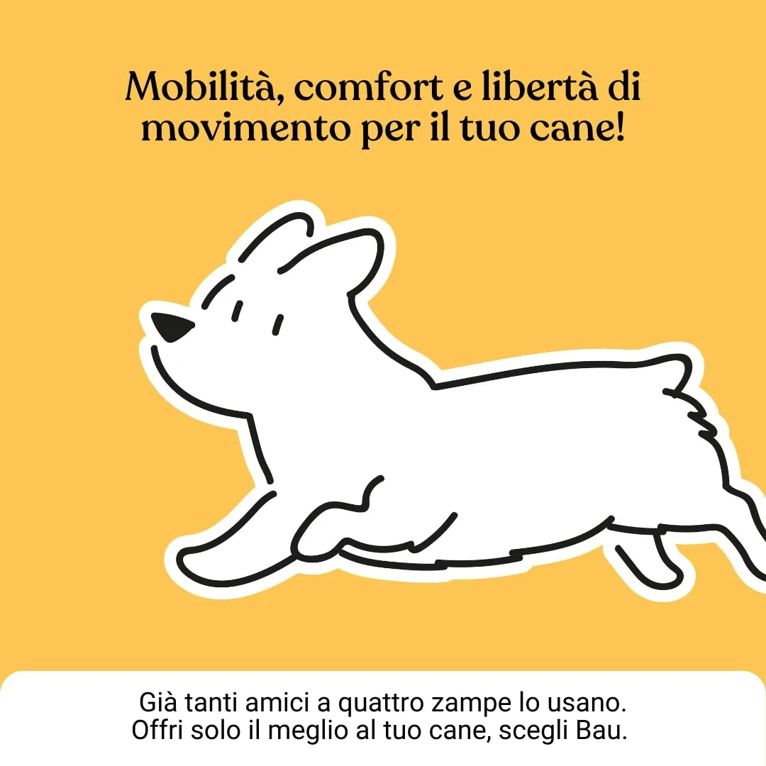 Bau Integratore Articolazioni per Cane Adulto e Anziano con Condroitina e Cozza Verde, 60cps - immagine 9