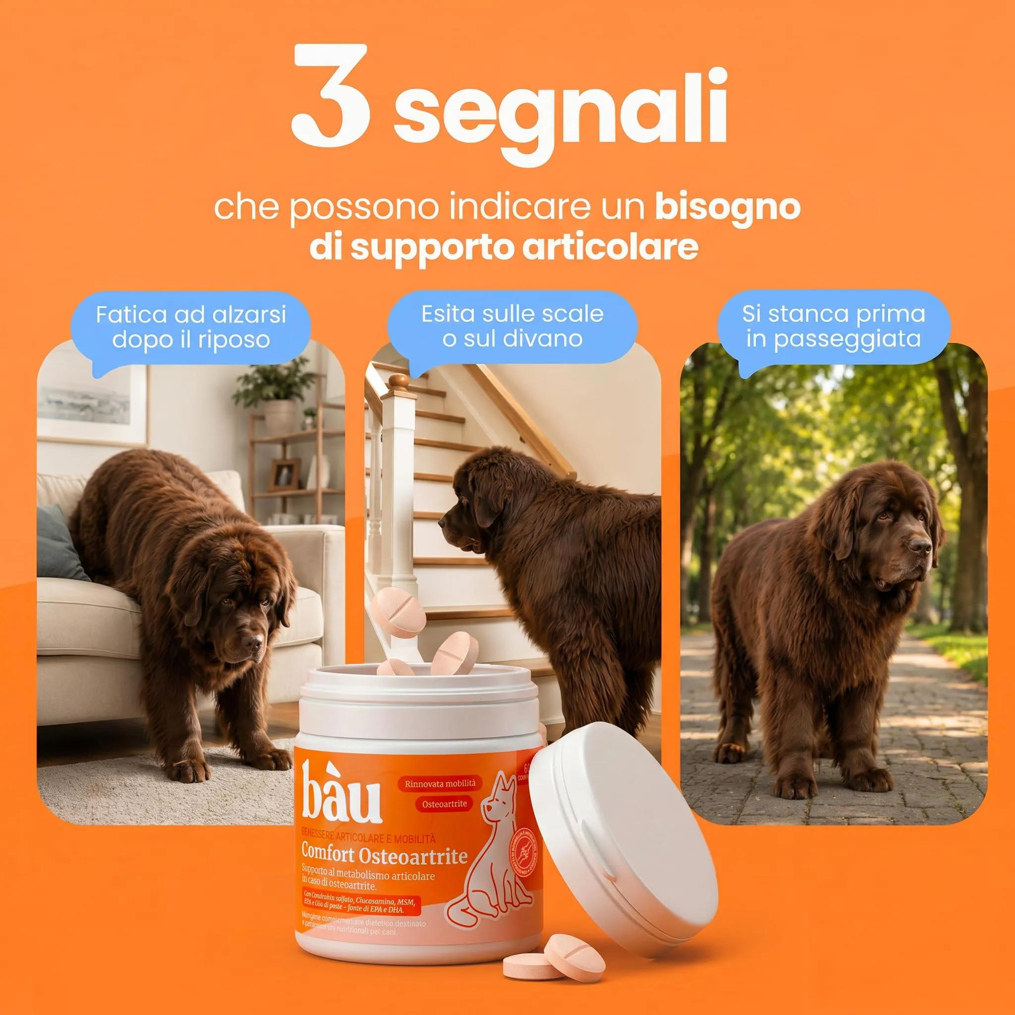 Bau Comfort Osteoartrite Articolazioni Cane Forte, Integratore Mobilità con Glucosamina, Condroitina, Cozza Verde e Collagene, 60cps - immagine 2