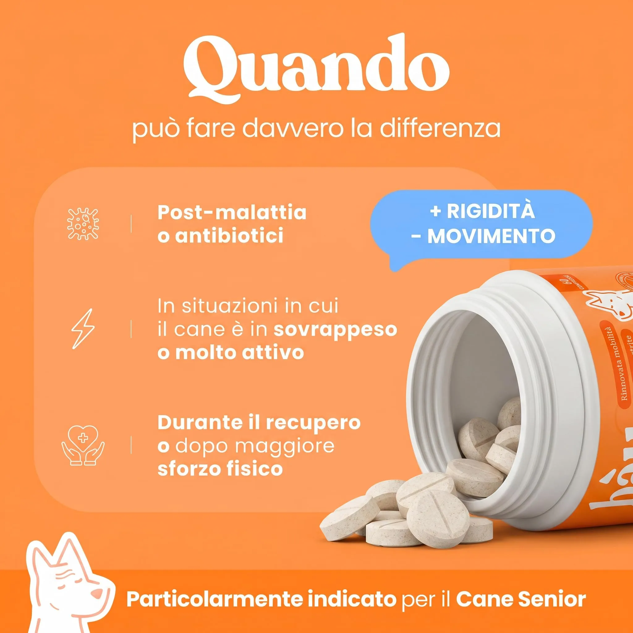 Bau Comfort Osteoartrite Articolazioni Cane Forte, Integratore Mobilità con Glucosamina, Condroitina, Cozza Verde e Collagene, 60cps - immagine 3
