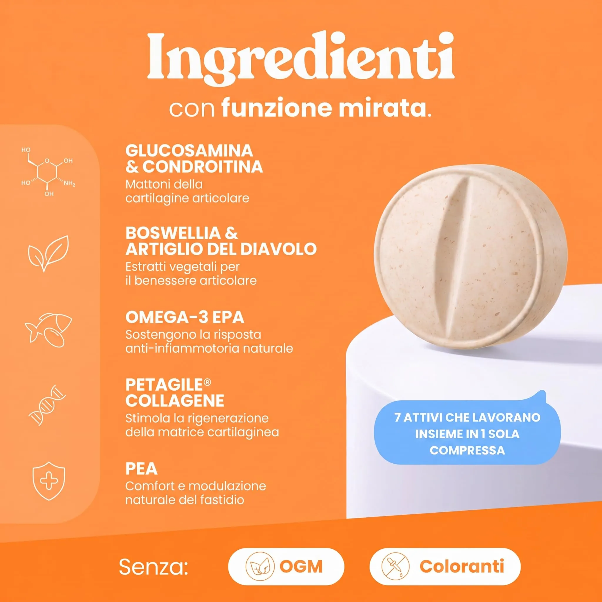 Bau Comfort Osteoartrite Articolazioni Cane Forte, Integratore Mobilità con Glucosamina, Condroitina, Cozza Verde e Collagene, 60cps - immagine 4
