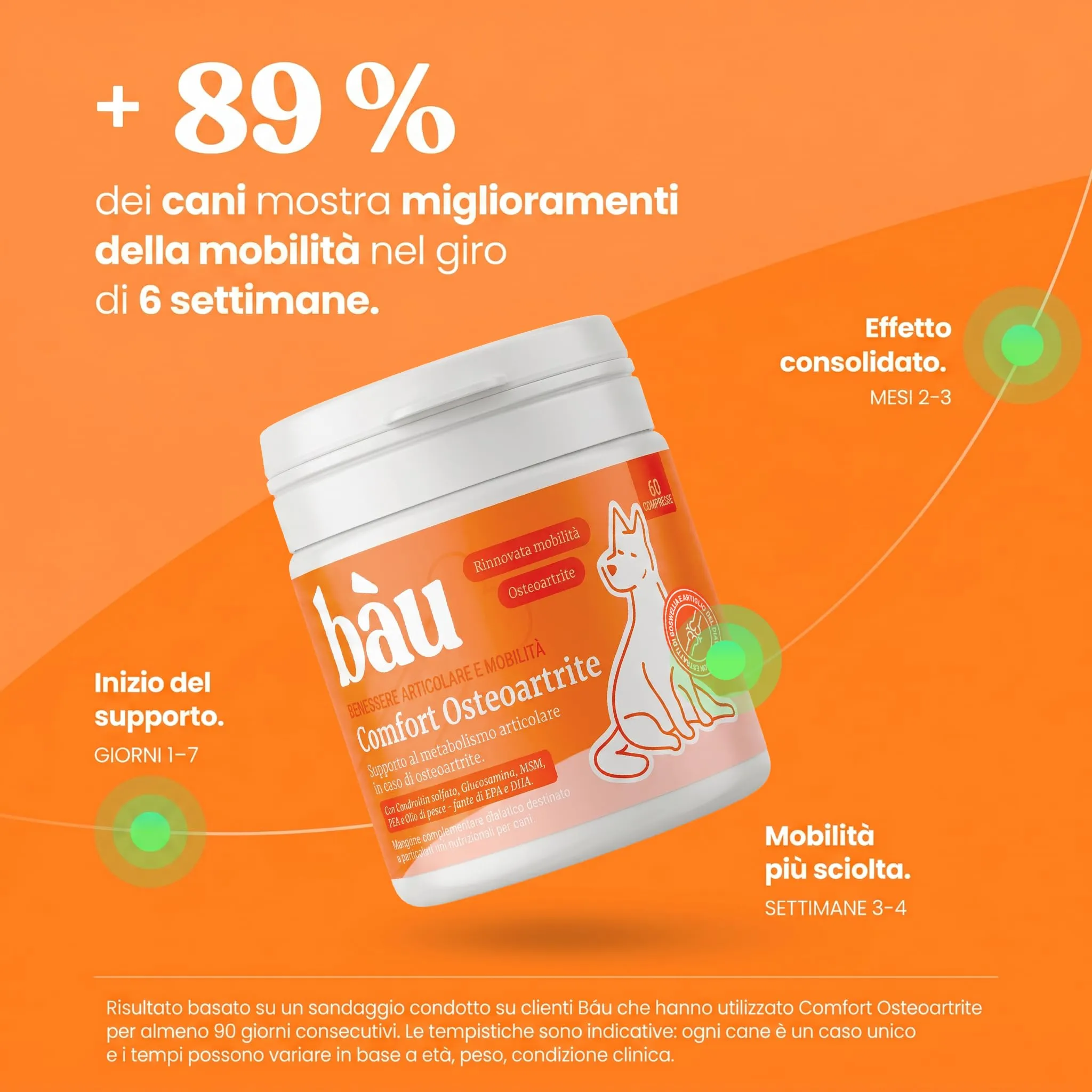 Bau Comfort Osteoartrite Articolazioni Cane Forte, Integratore Mobilità con Glucosamina, Condroitina, Cozza Verde e Collagene, 60cps - immagine 5