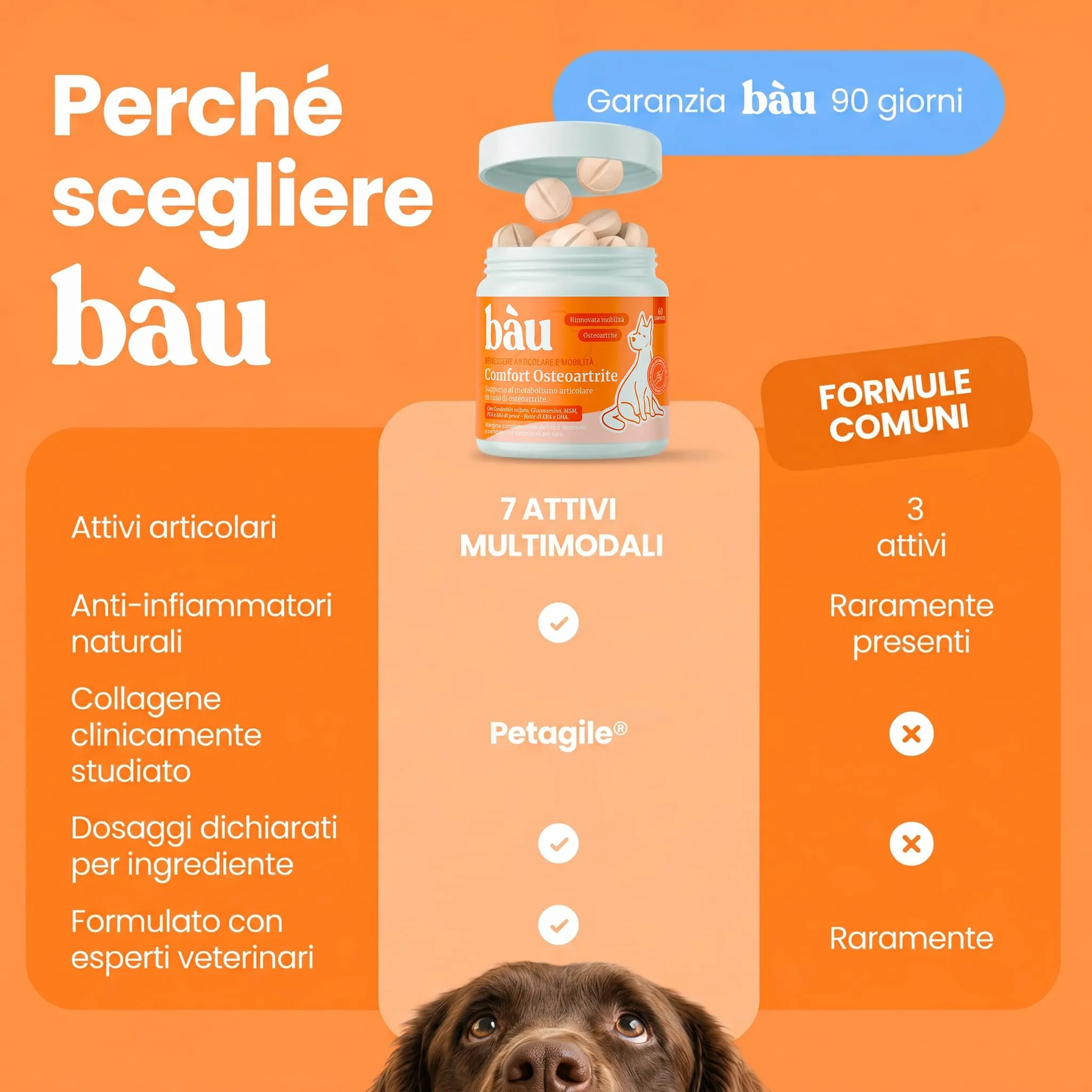 Bau Comfort Osteoartrite Articolazioni Cane Forte, Integratore Mobilità con Glucosamina, Condroitina, Cozza Verde e Collagene, 60cps - immagine 6