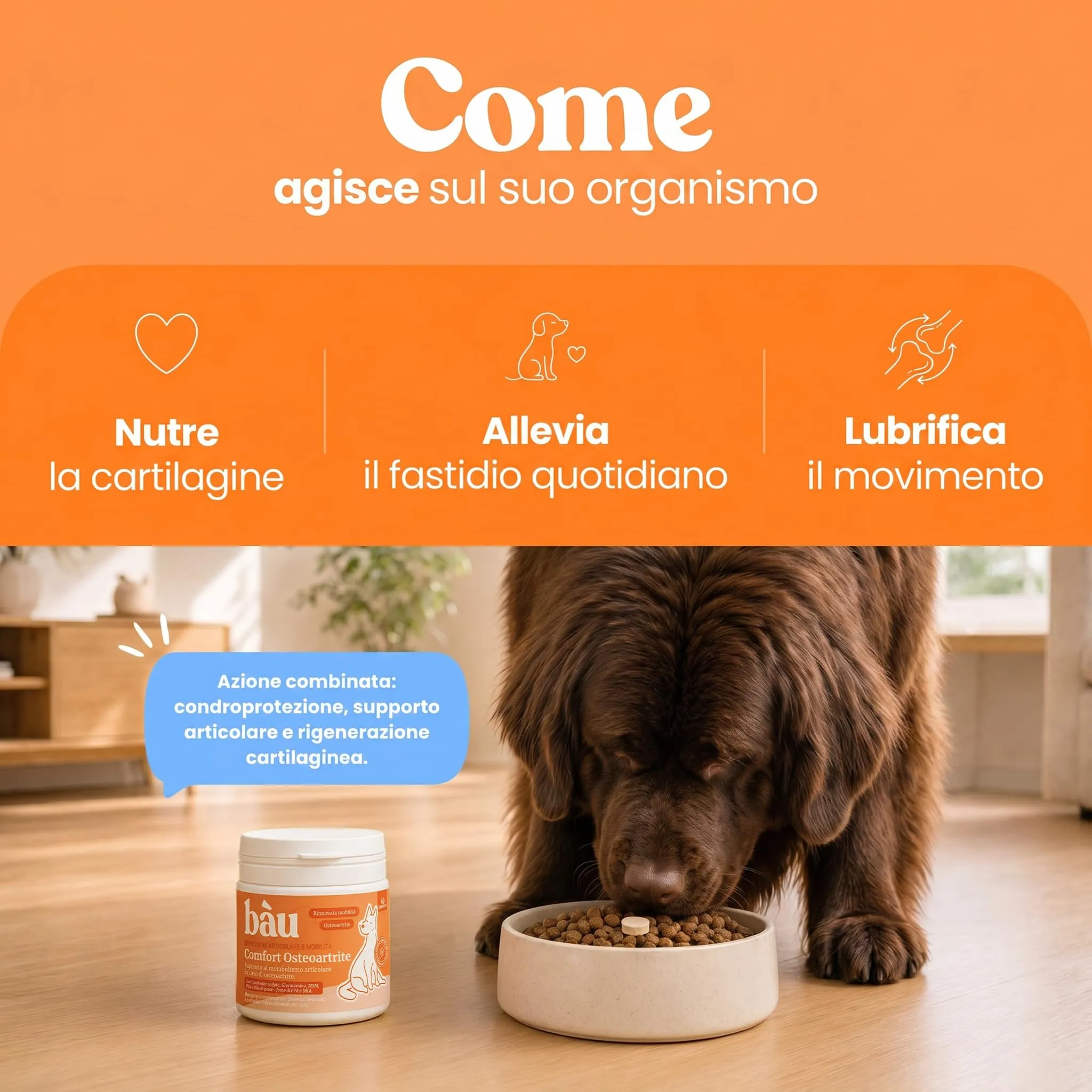 Bau Comfort Osteoartrite Articolazioni Cane Forte, Integratore Mobilità con Glucosamina, Condroitina, Cozza Verde e Collagene, 60cps - immagine 9