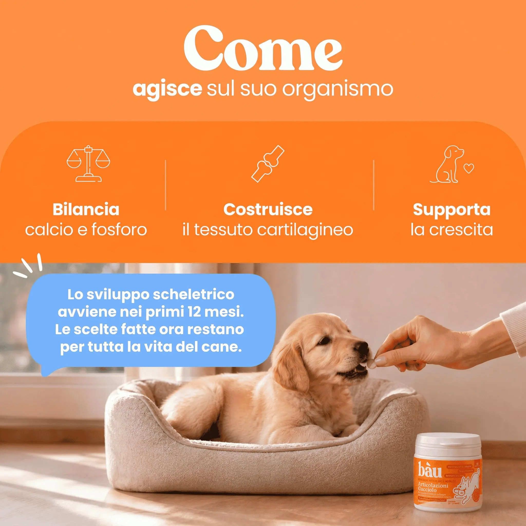 Bau Integratore Articolazioni per Cuccioli di Cani con Glucosamina, Condroitina, Collagene, Calcio e Vitamina D3, 60cps - immagine 3