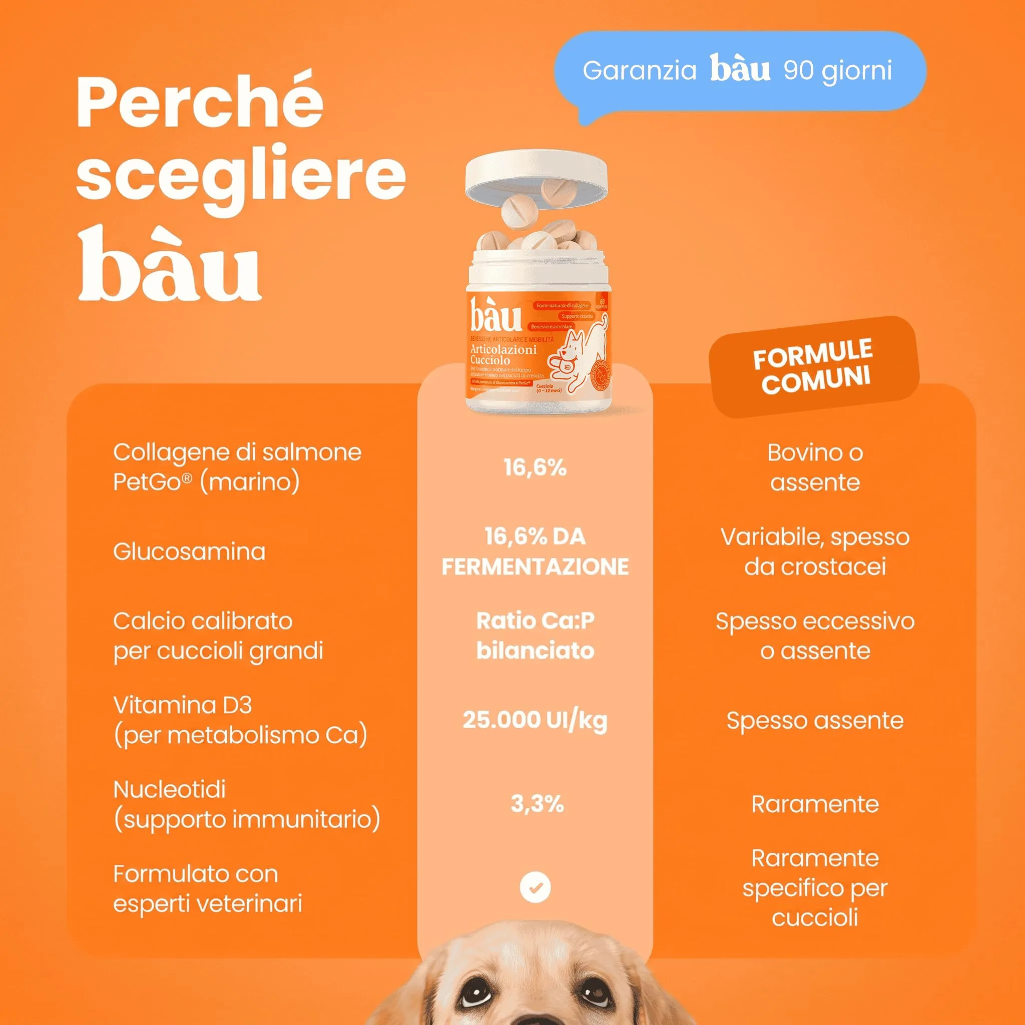 Bau Integratore Articolazioni per Cuccioli di Cani con Glucosamina, Condroitina, Collagene, Calcio e Vitamina D3, 60cps - immagine 6