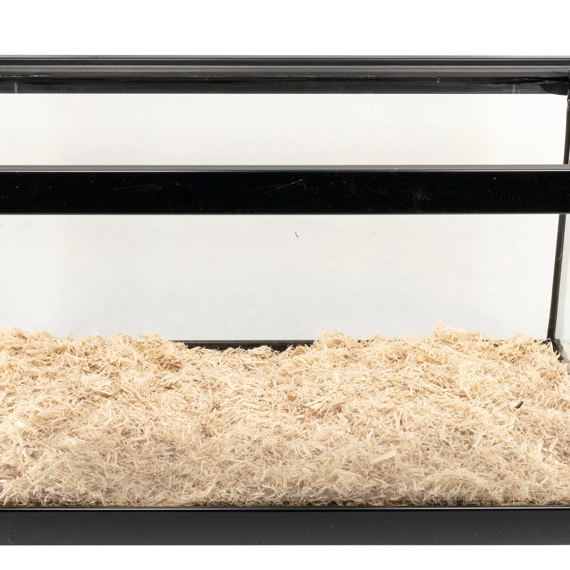 Zoo Med Aspen Snake Lettiera per Rettili in Pioppo, 8 L - immagine 6