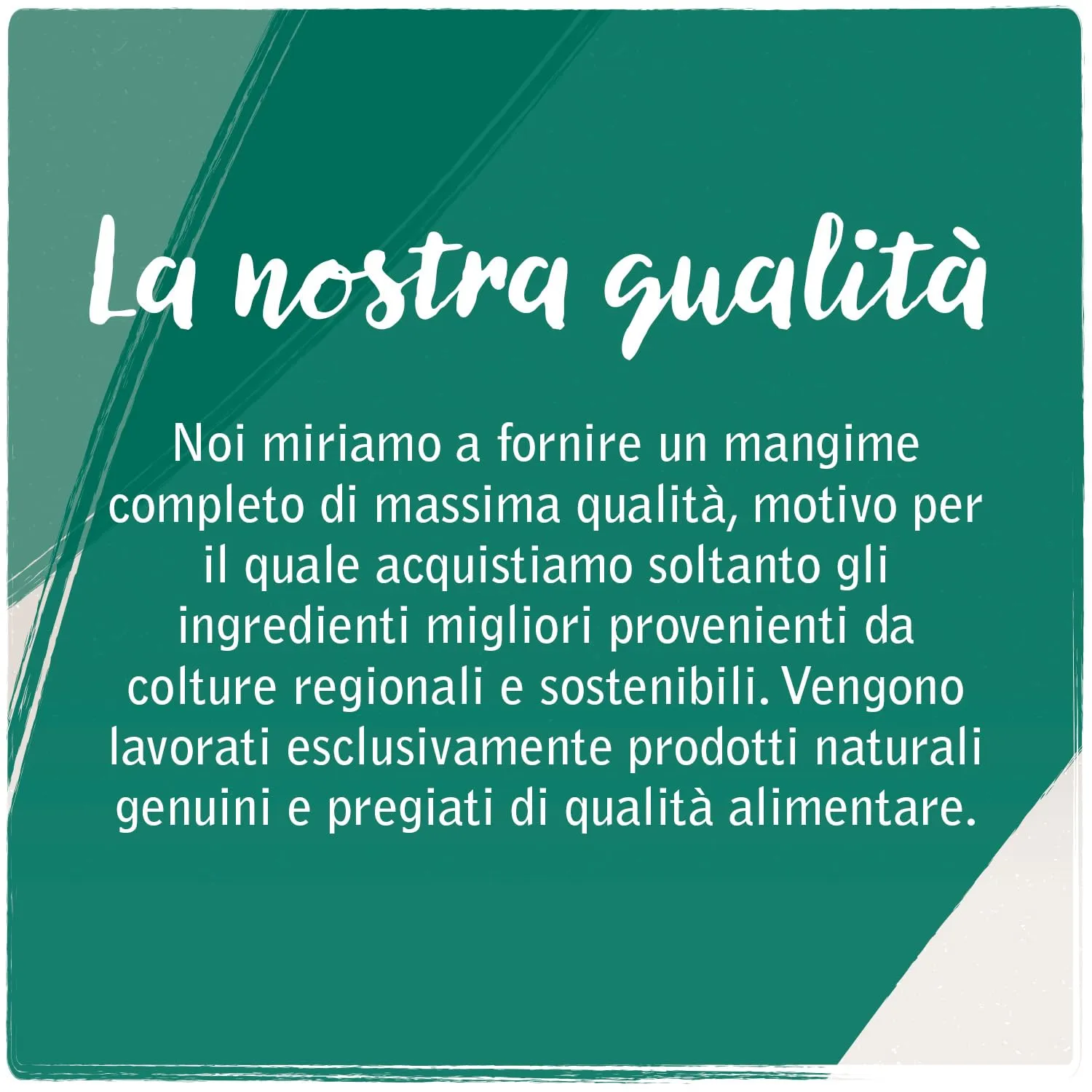 VenandiAnimal Mangime per Gatti Premium, Tacchino Mono-Proteina, Senza Cereali, 12 x 125 g - immagine 2