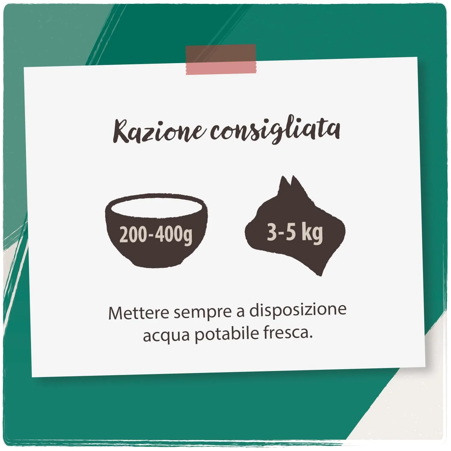 VenandiAnimal Mangime per Gatti Premium, Tacchino Mono-Proteina, Senza Cereali, 12 x 125 g - immagine 5