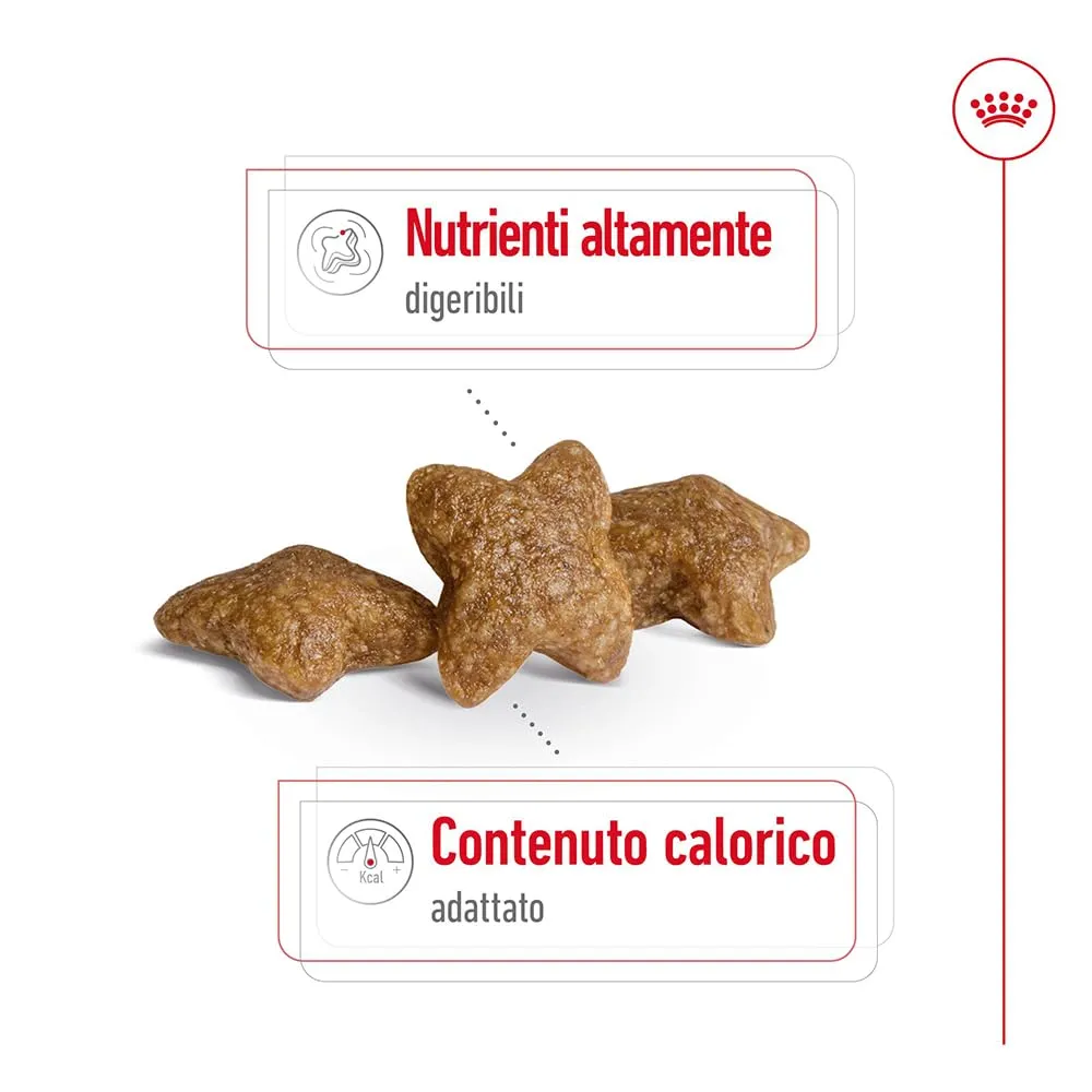Royal Canin Mini Adult Secco Cane 4 kg - immagine 3