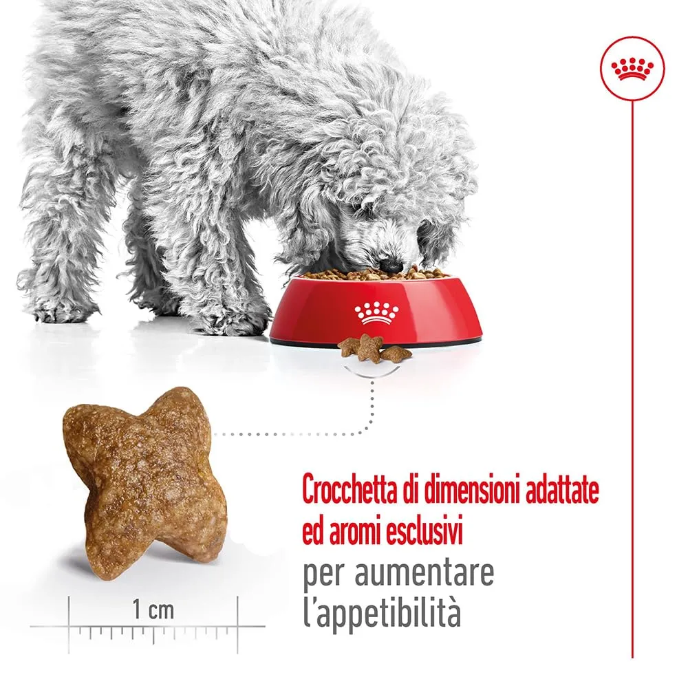 Royal Canin Mini Adult Secco Cane 4 kg - immagine 4
