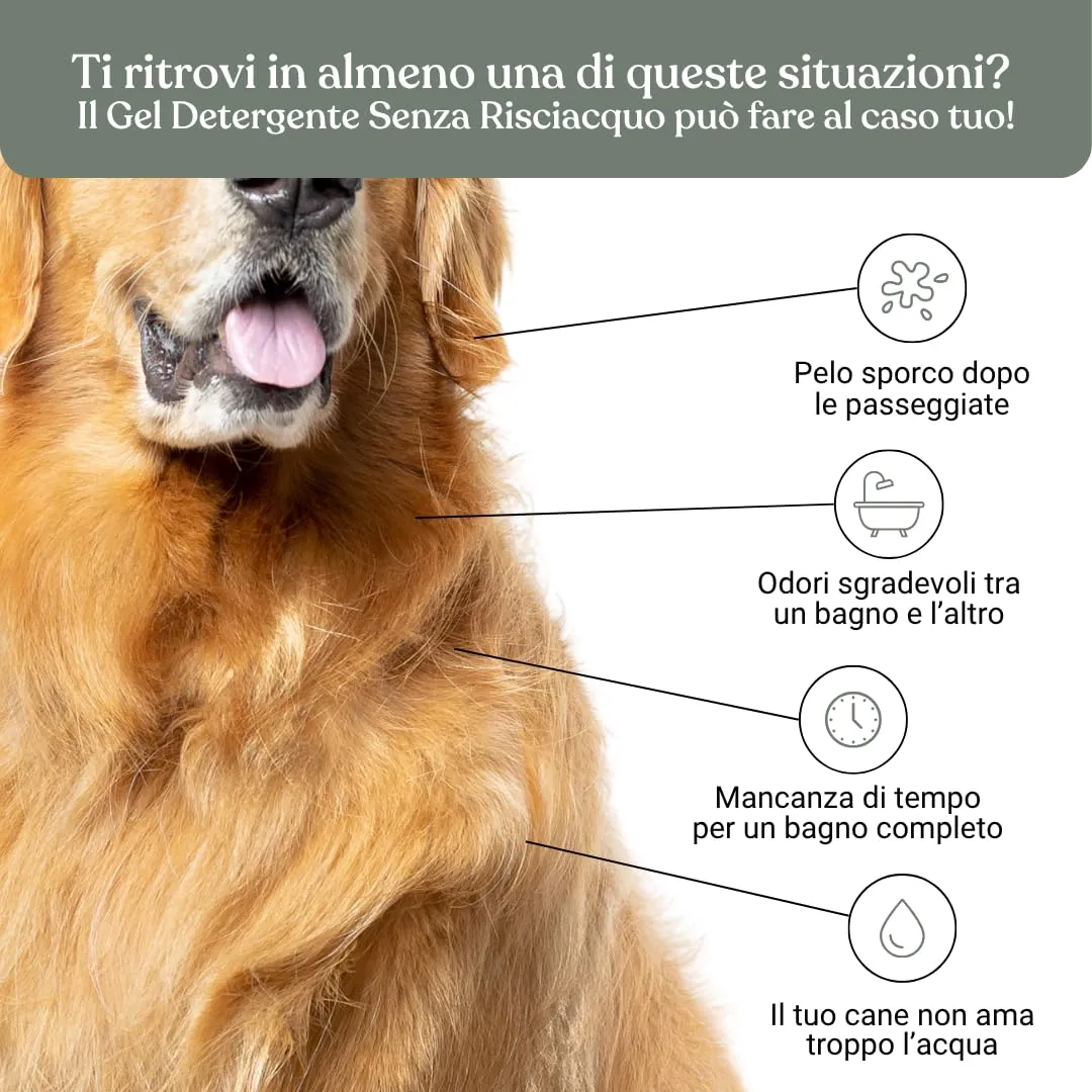 Bau Shampoo Secco per Cani, Gel Detergente Senza Risciacquo con Aloe Vera, 250 ml - immagine 3
