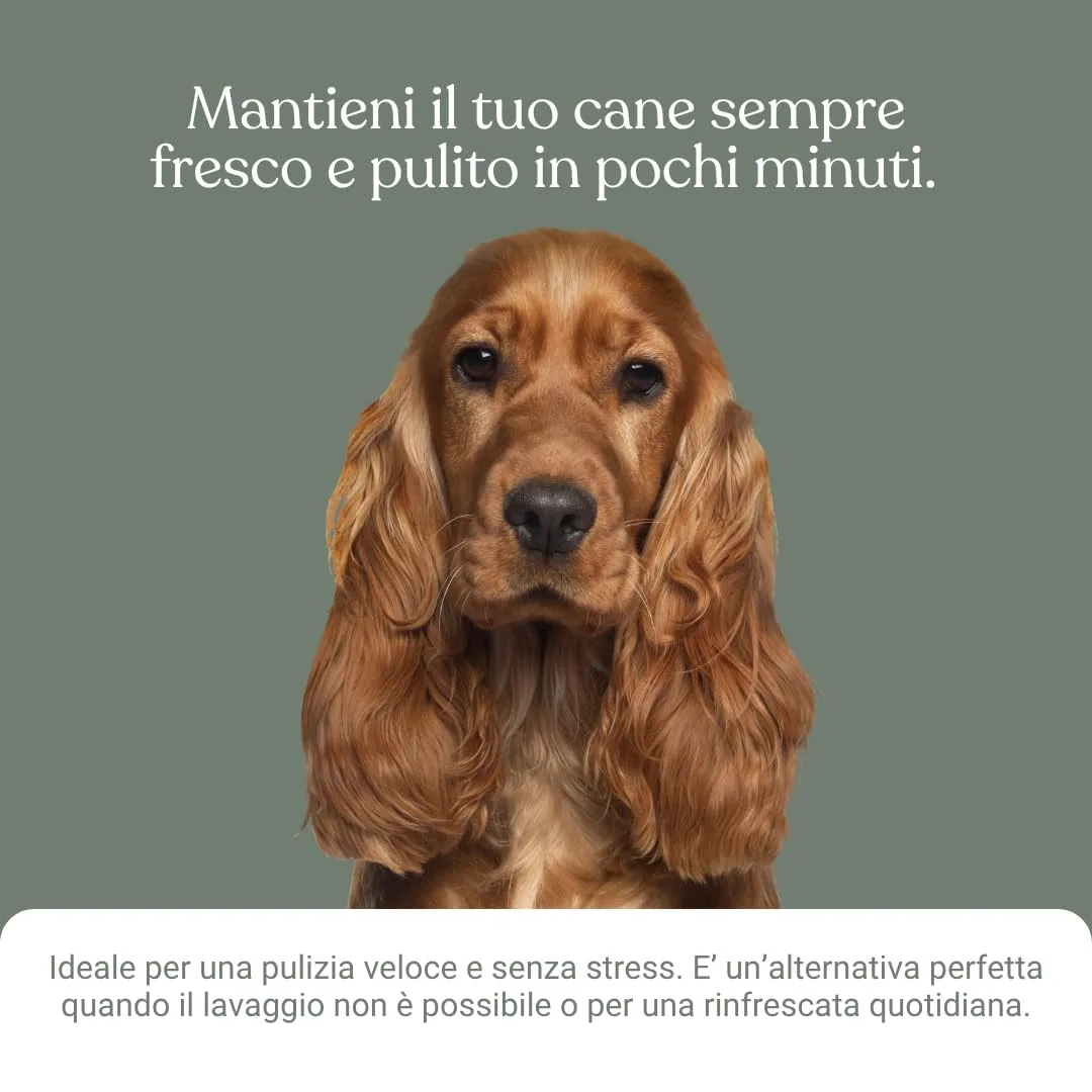 Bau Shampoo Secco per Cani, Gel Detergente Senza Risciacquo con Aloe Vera, 250 ml - immagine 5