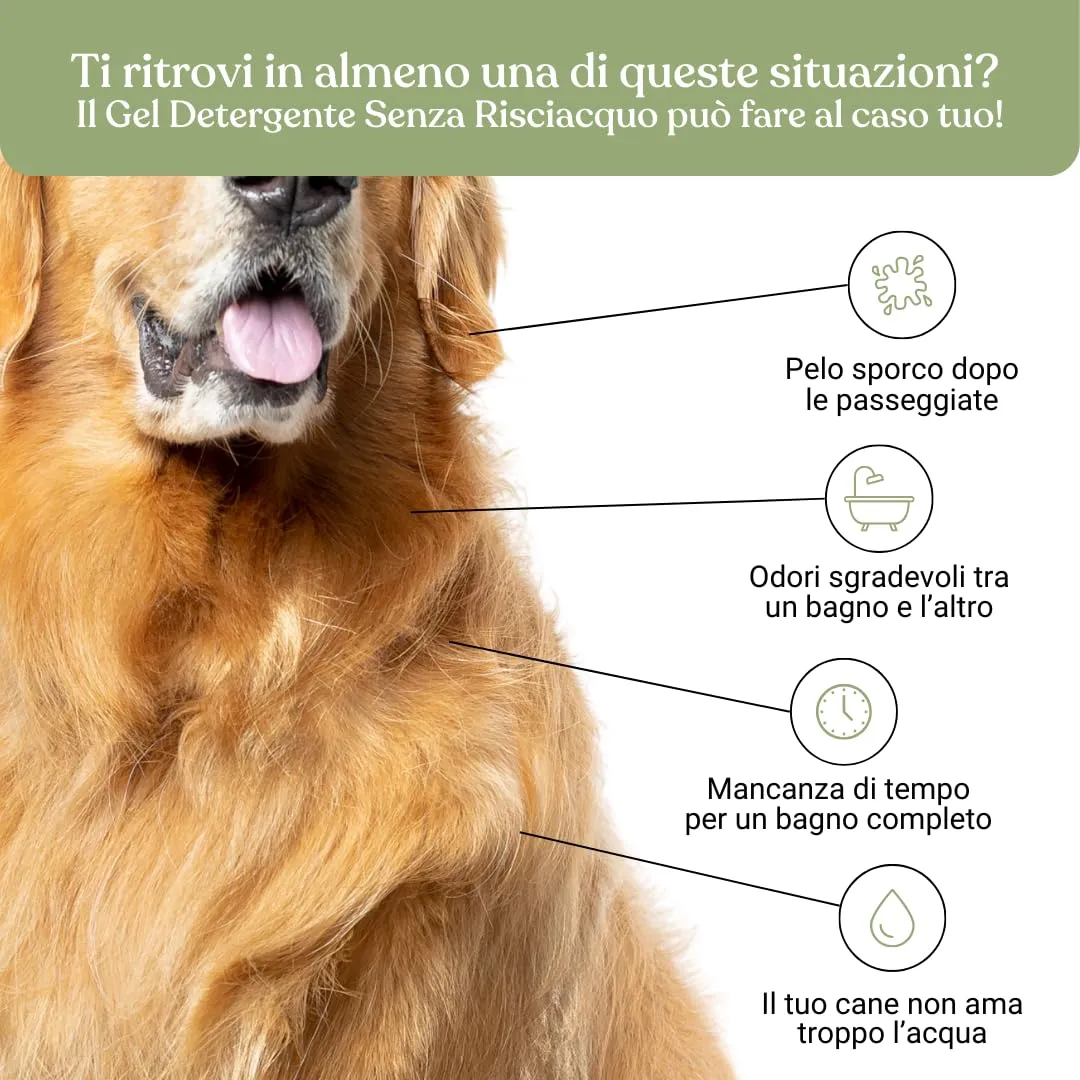 Bau Shampoo Secco per Cani, Gel Detergente Senza Risciacquo con Aloe Vera, Mela, 250 ml - immagine 3