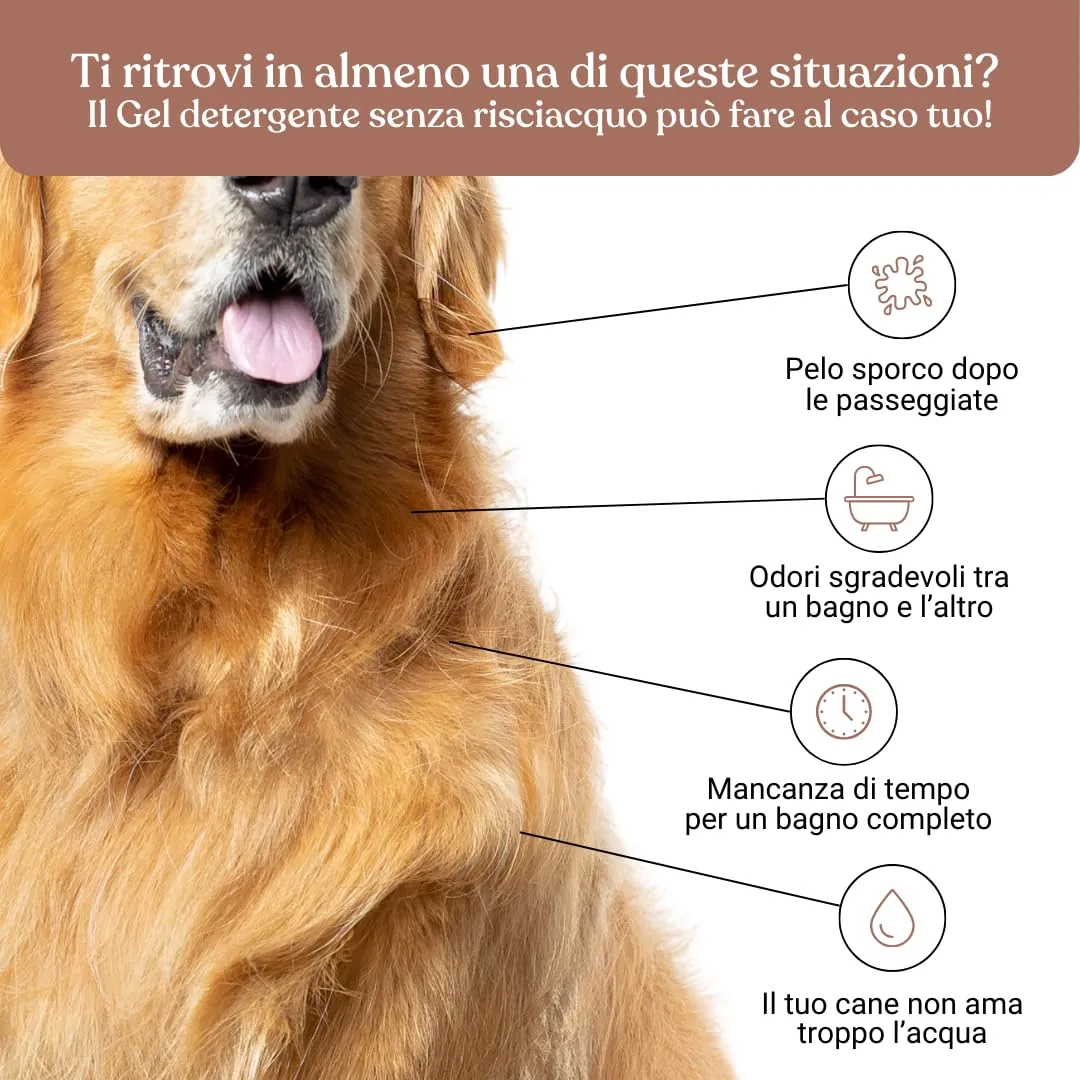Bau Shampoo Secco per Cani, Gel Detergente Senza Risciacquo con Aloe Vera e Argan, 250 ml - immagine 3