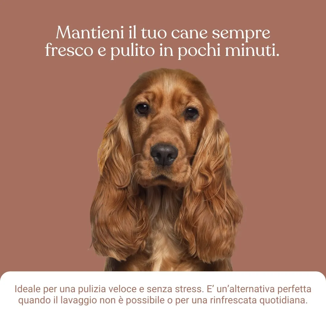 Bau Shampoo Secco per Cani, Gel Detergente Senza Risciacquo con Aloe Vera e Argan, 250 ml - immagine 5