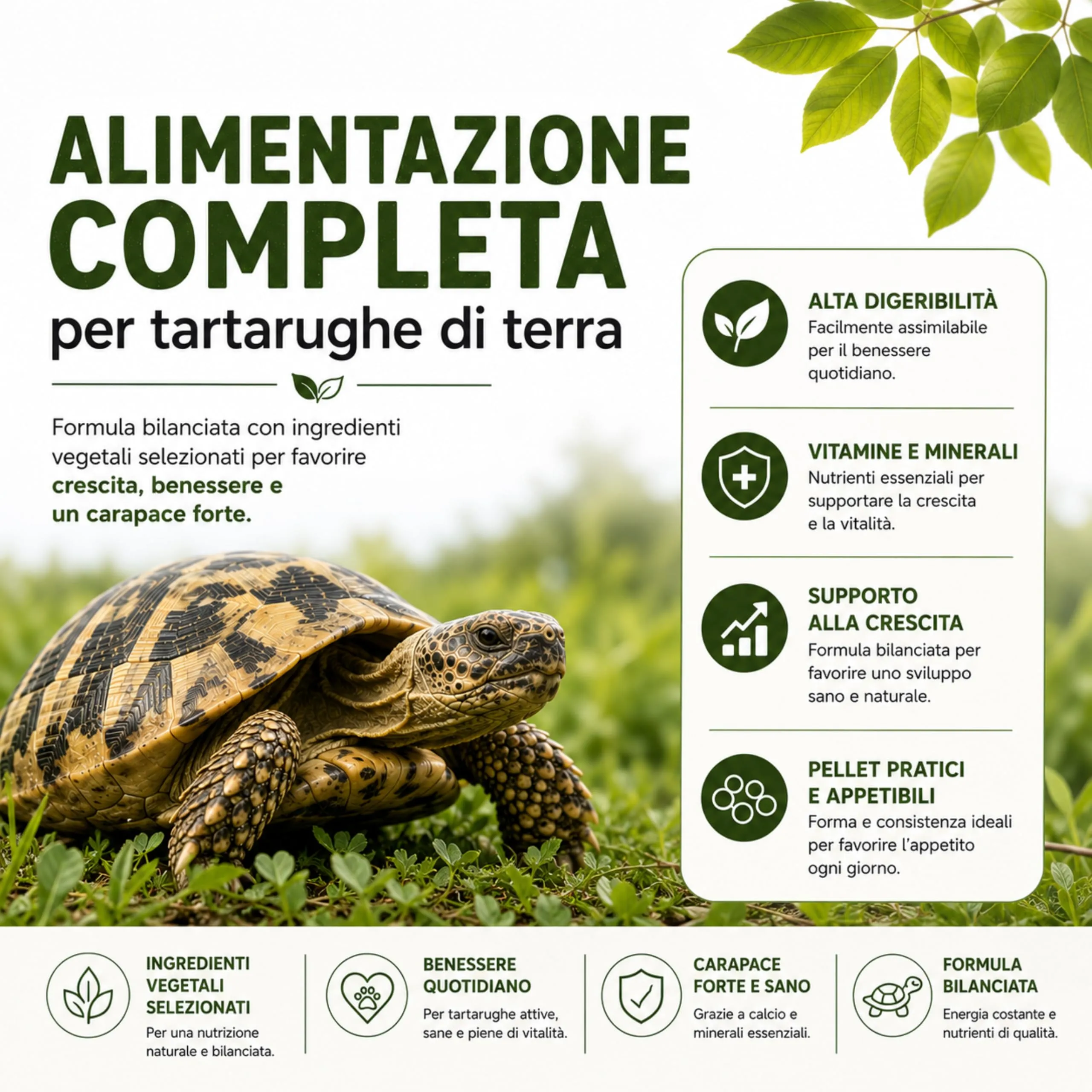 AGRI-CULTURA Mangime Completo per Tartarughe di Terra, 2x500g - immagine 2