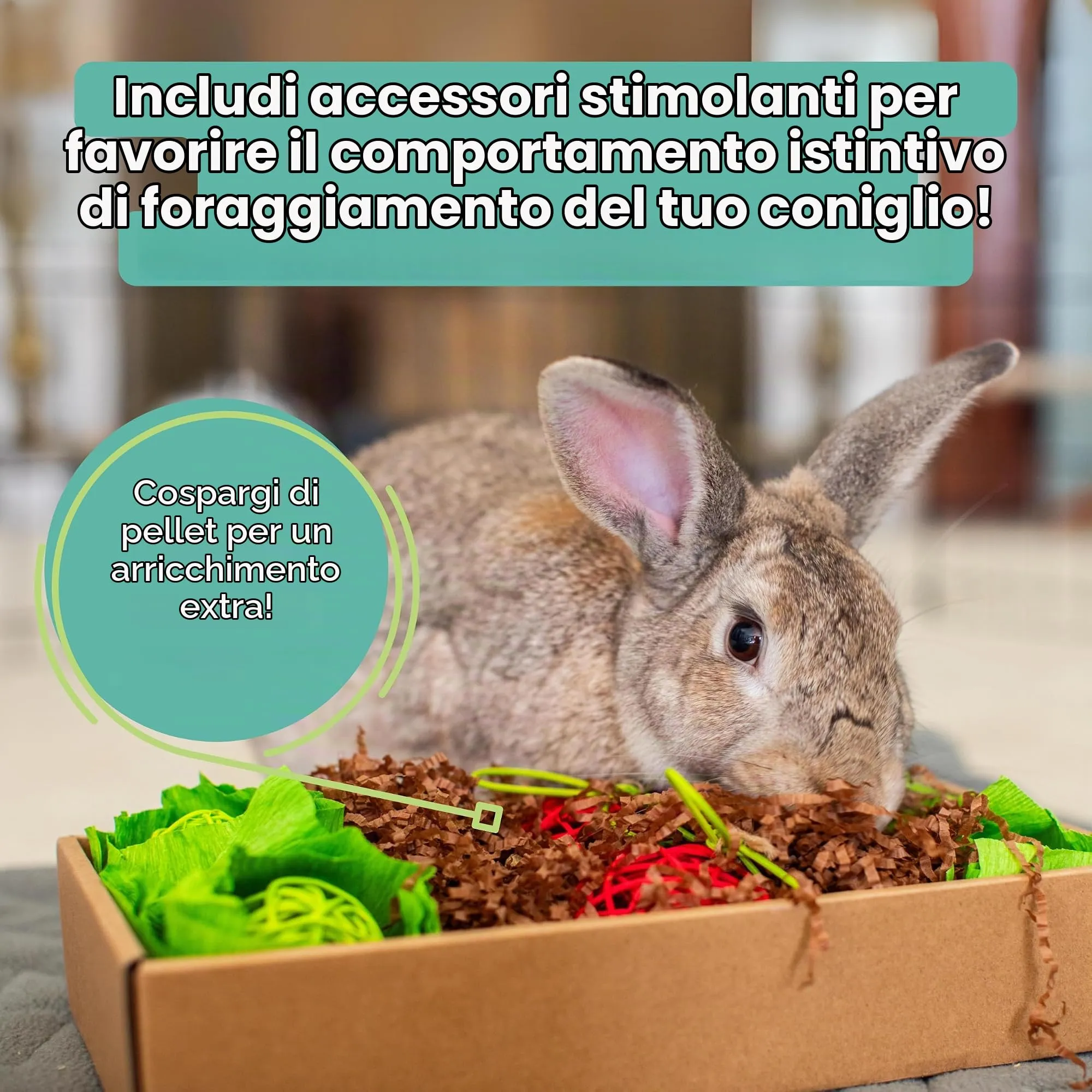 Oxbow Mangime per Coniglio Adulto 11.3 kg - immagine 11