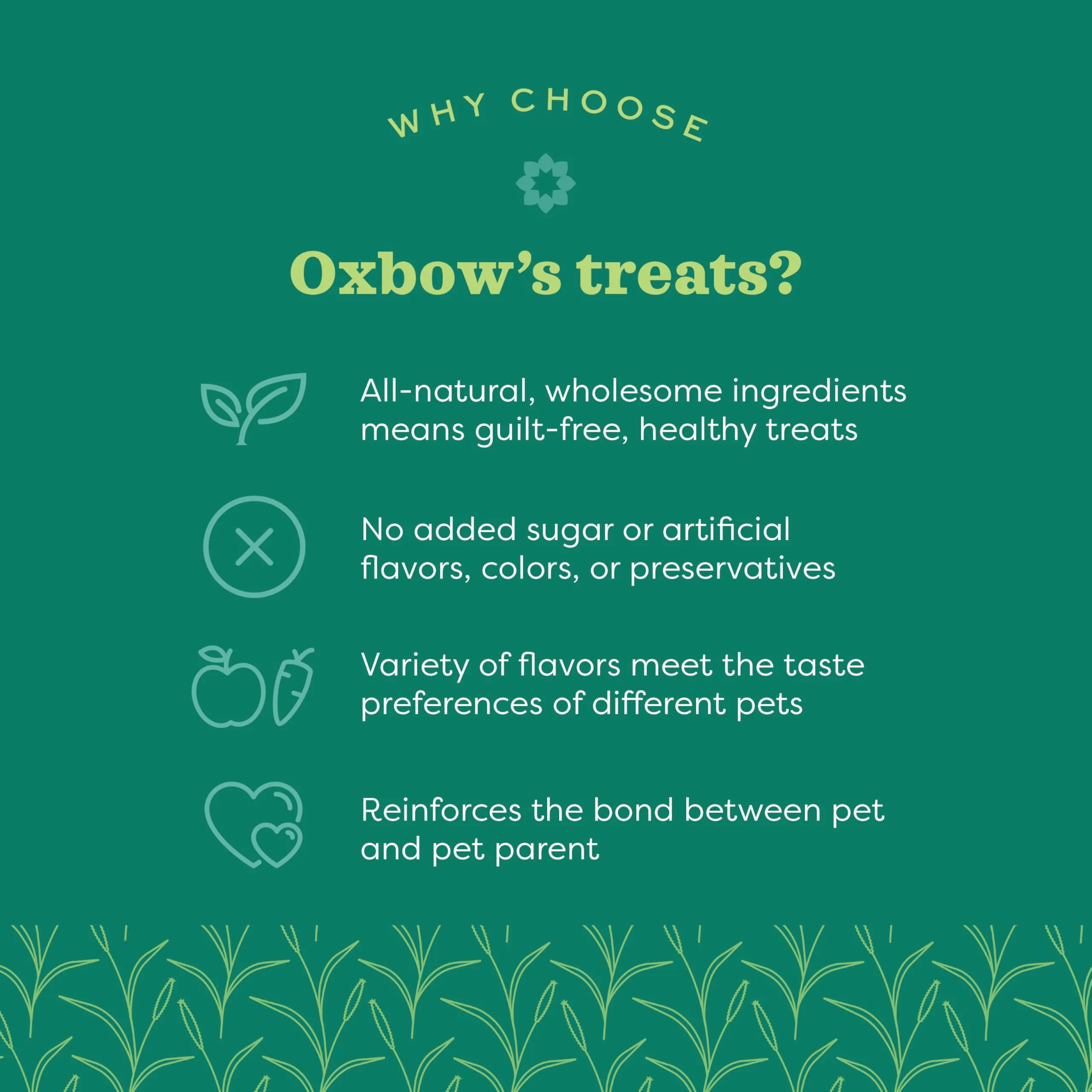 Oxbow Naturale a Forno Cotto Treats with Carrots, Dill and Timothy Hay - immagine 3