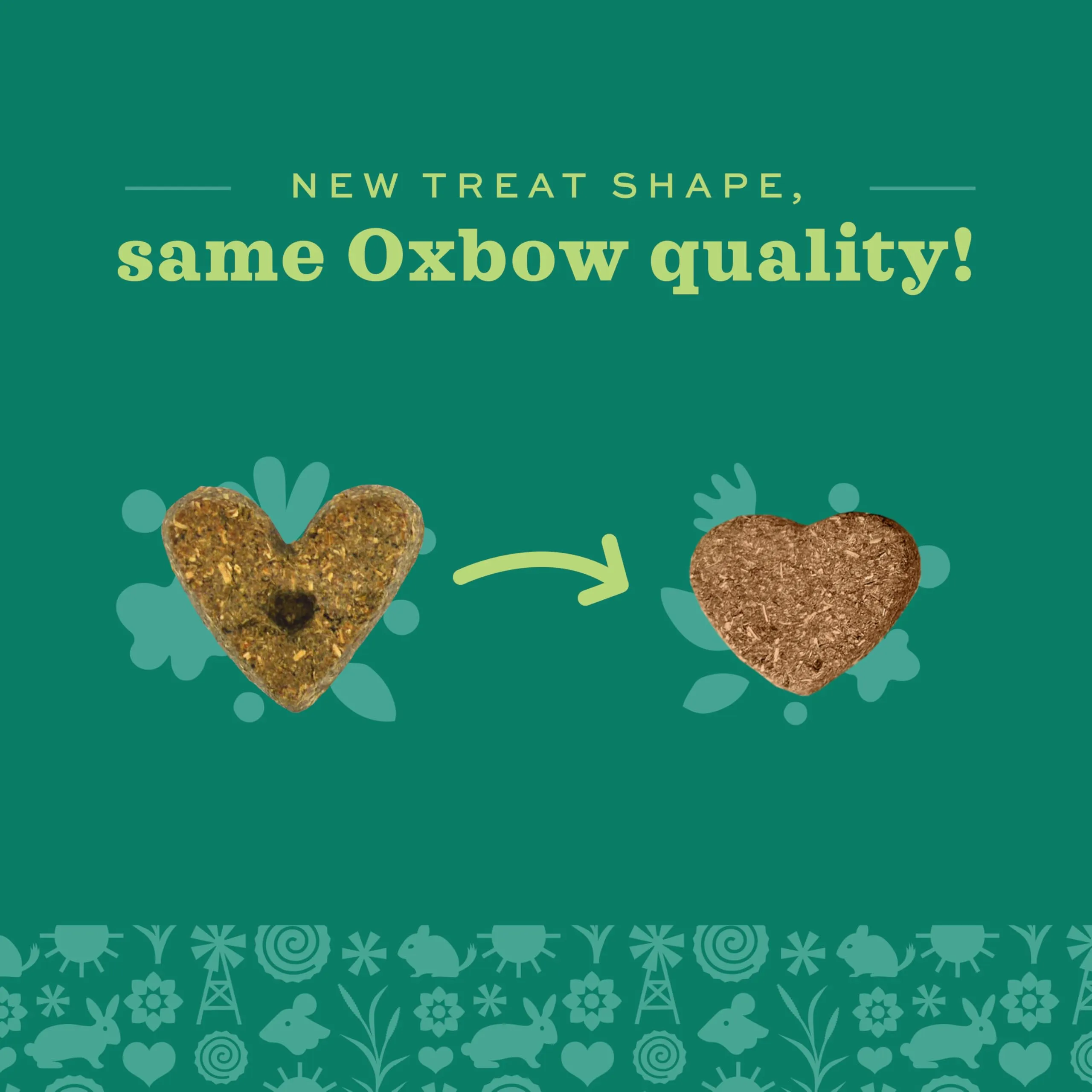 Oxbow Naturale a Forno Cotto Treats with Carrots, Dill and Timothy Hay - immagine 7
