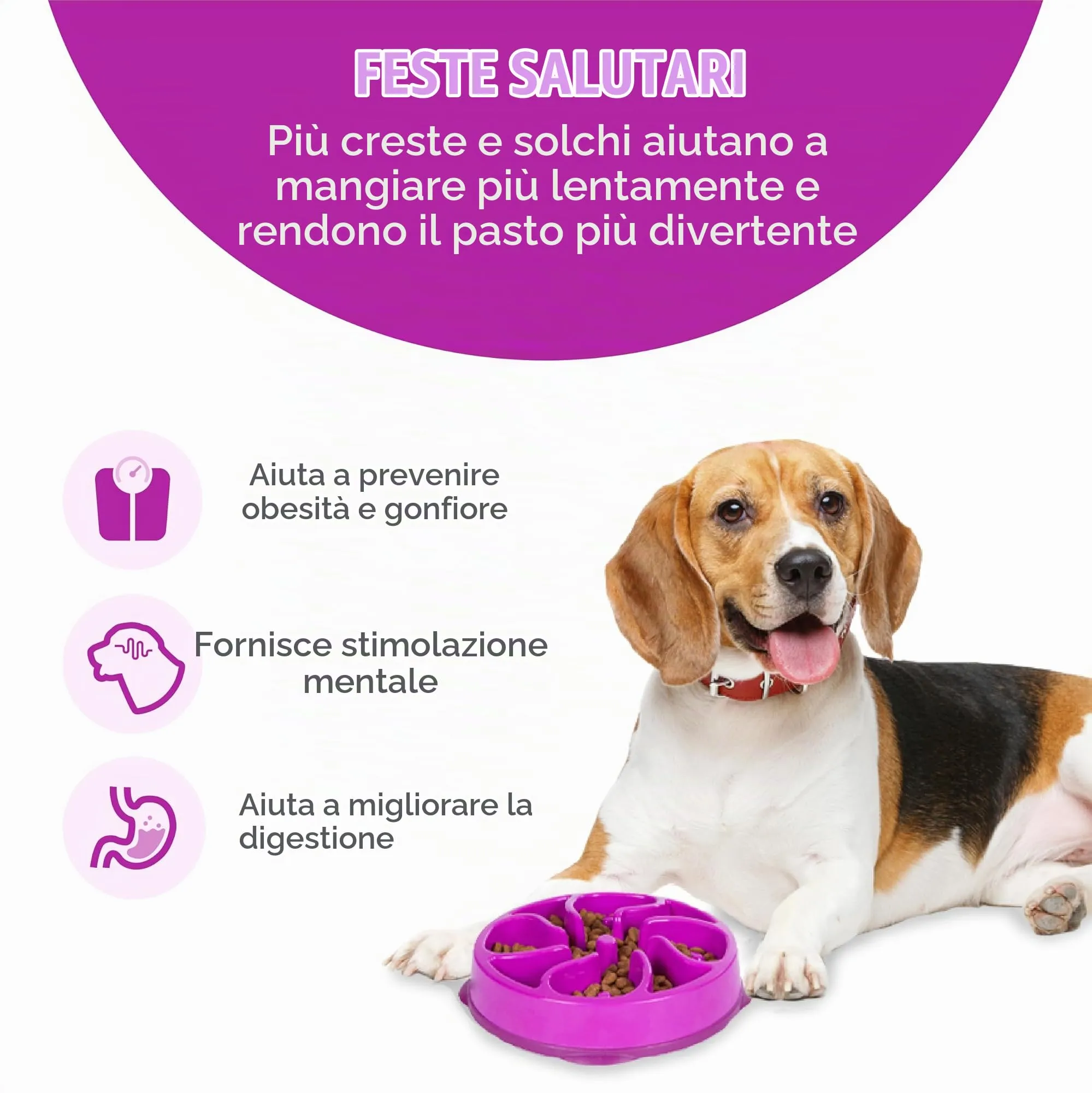 Outward Hound Fun Feeder Slo-Bowl Ciotola Anti-ingozzamento per Cani, Medio, Viola - immagine 2