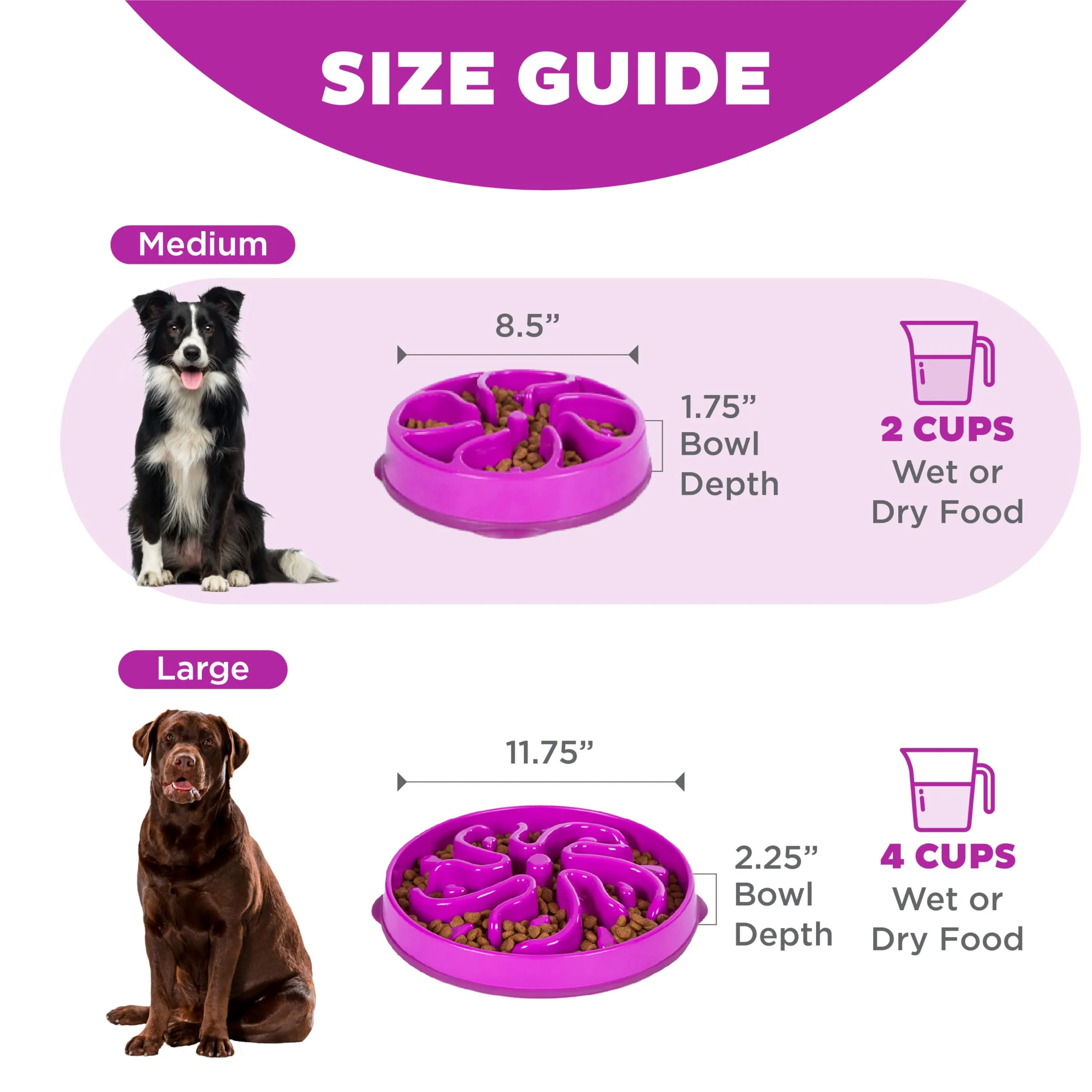 Outward Hound Fun Feeder Slo-Bowl Ciotola Anti-ingozzamento per Cani, Medio, Viola - immagine 5