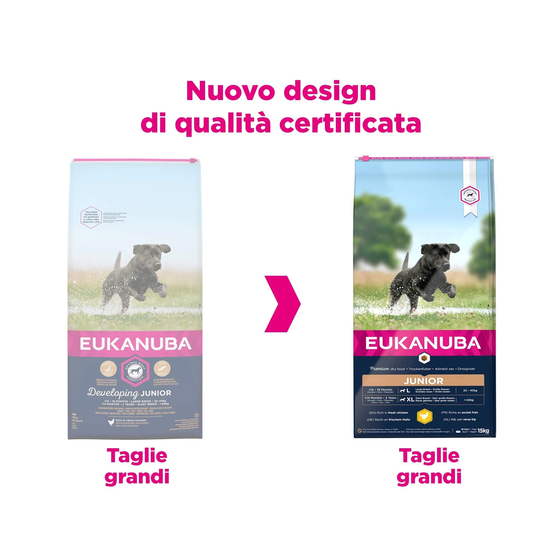 Eukanuba Cibo per cani razze taglia grande giovani, pollo fresco, 15 kg - immagine 3