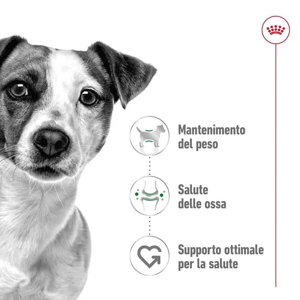 Royal Canin Mini Adult, 2 kg - immagine 2