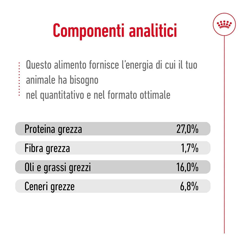 Royal Canin Mini Adult, 2 kg - immagine 7