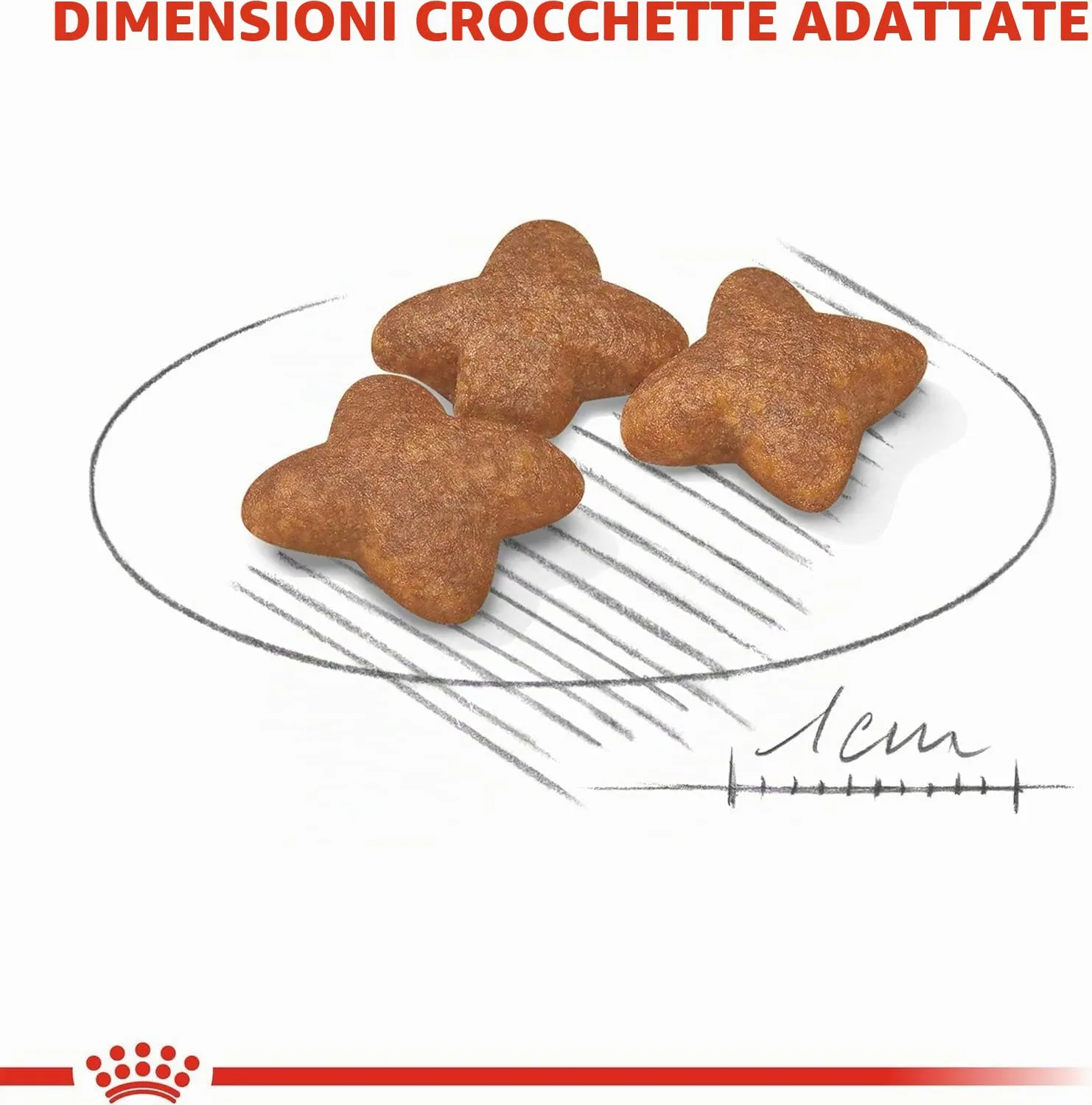 Royal Canin Mini Adult Alimento secco per cani adulti di piccola taglia, 800 g - immagine 4