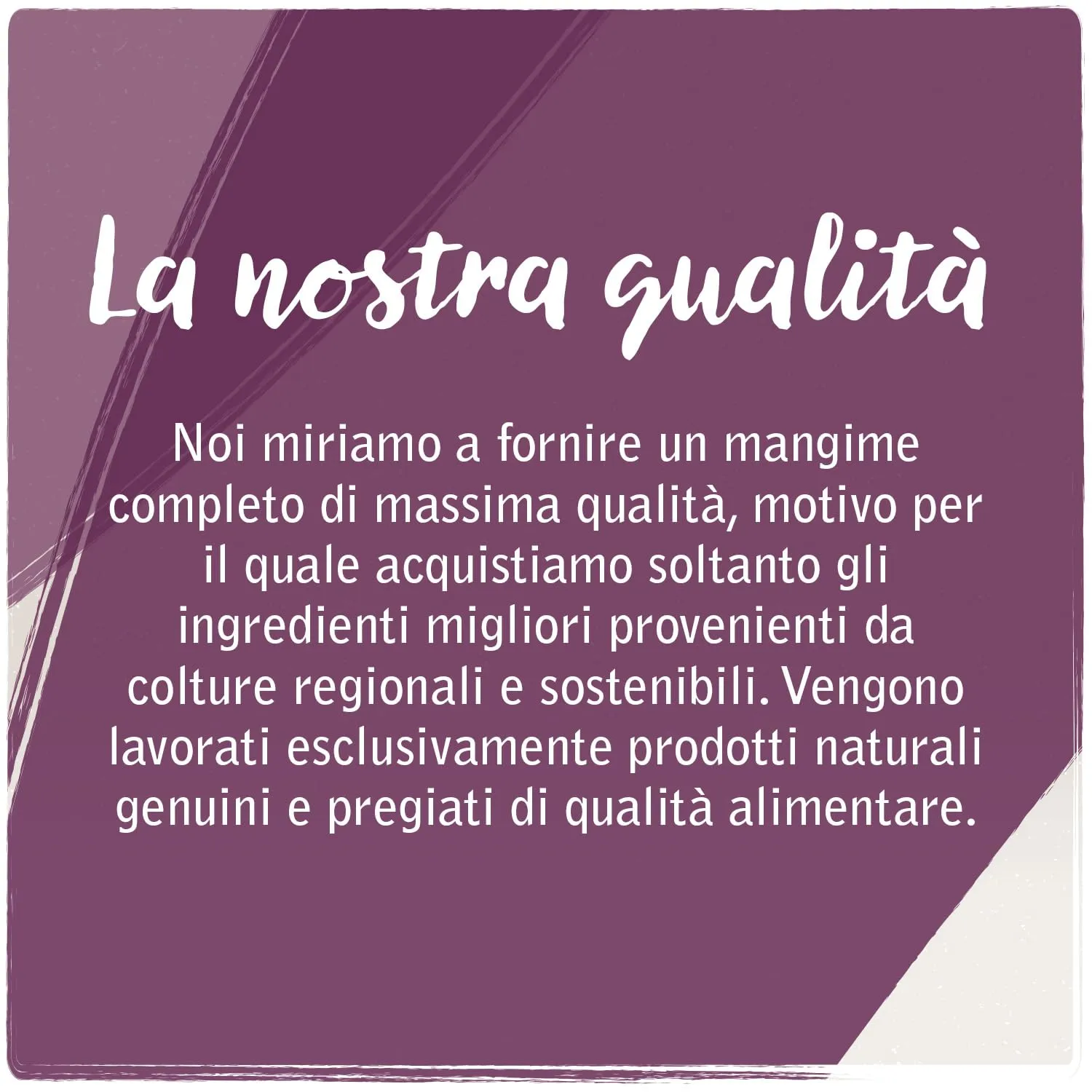 VenandiAnimal Alimento Umido per Gatti Monoproteico all'Anatra Senza Cereali, 6 x 200 g - immagine 2