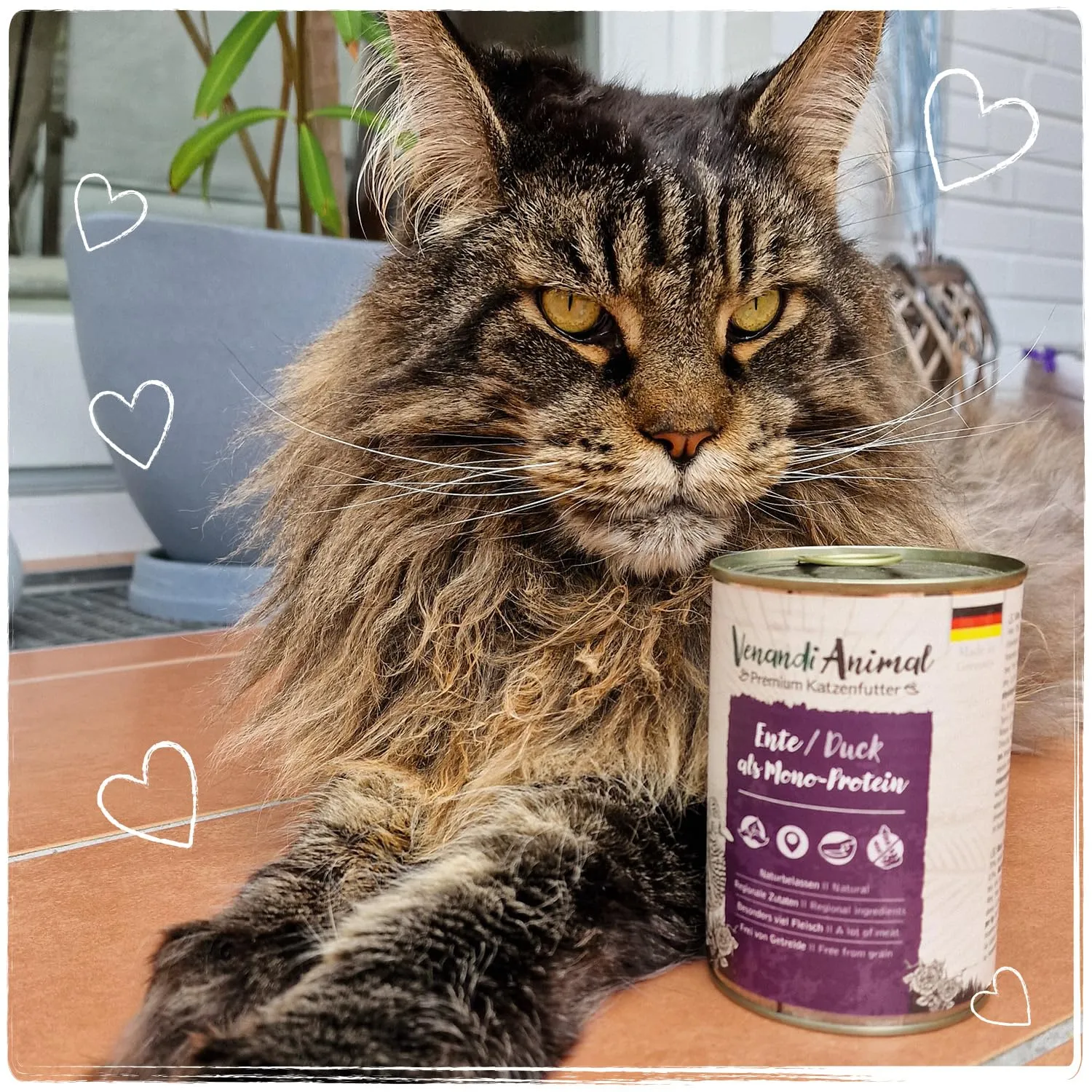 VenandiAnimal Alimento Umido per Gatti Monoproteico all'Anatra Senza Cereali, 6 x 200 g - immagine 7