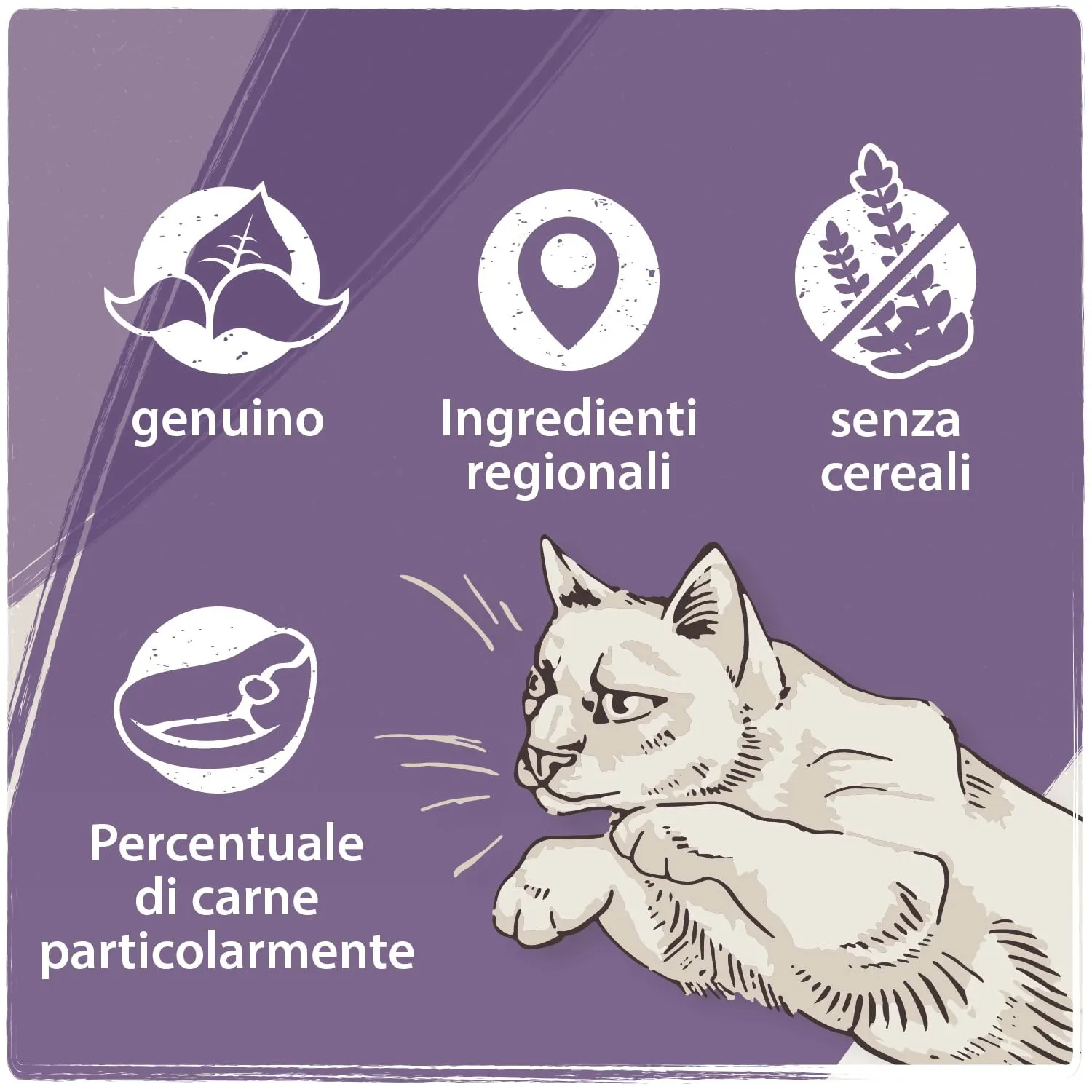 VenandiAnimal Alimento Umido per Gatti Cavallo Monoproteico Senza Cereali, 6 x 200 g - immagine 5