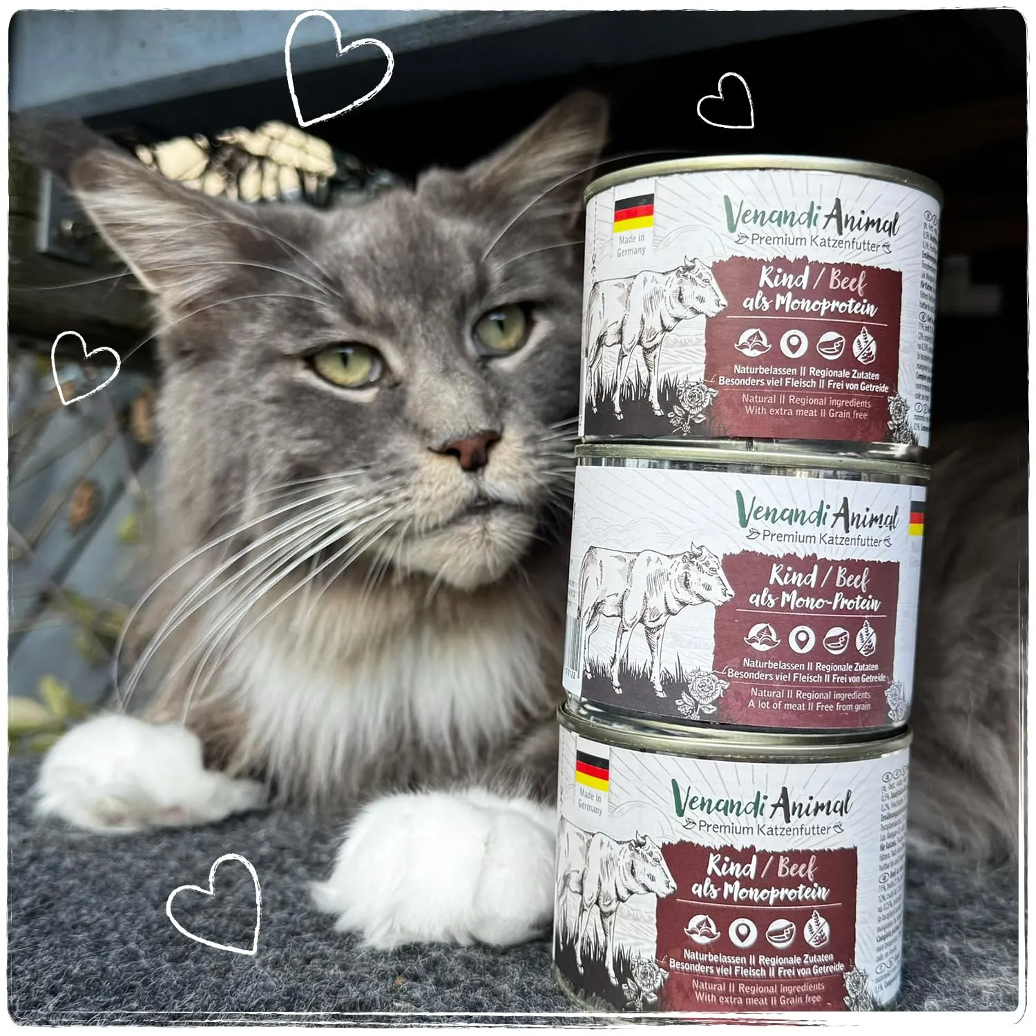 VenandiAnimal Mangime per Gatti Premium Bovino Mono-Proteina Senza Cereali, 6 x 200 g - immagine 8