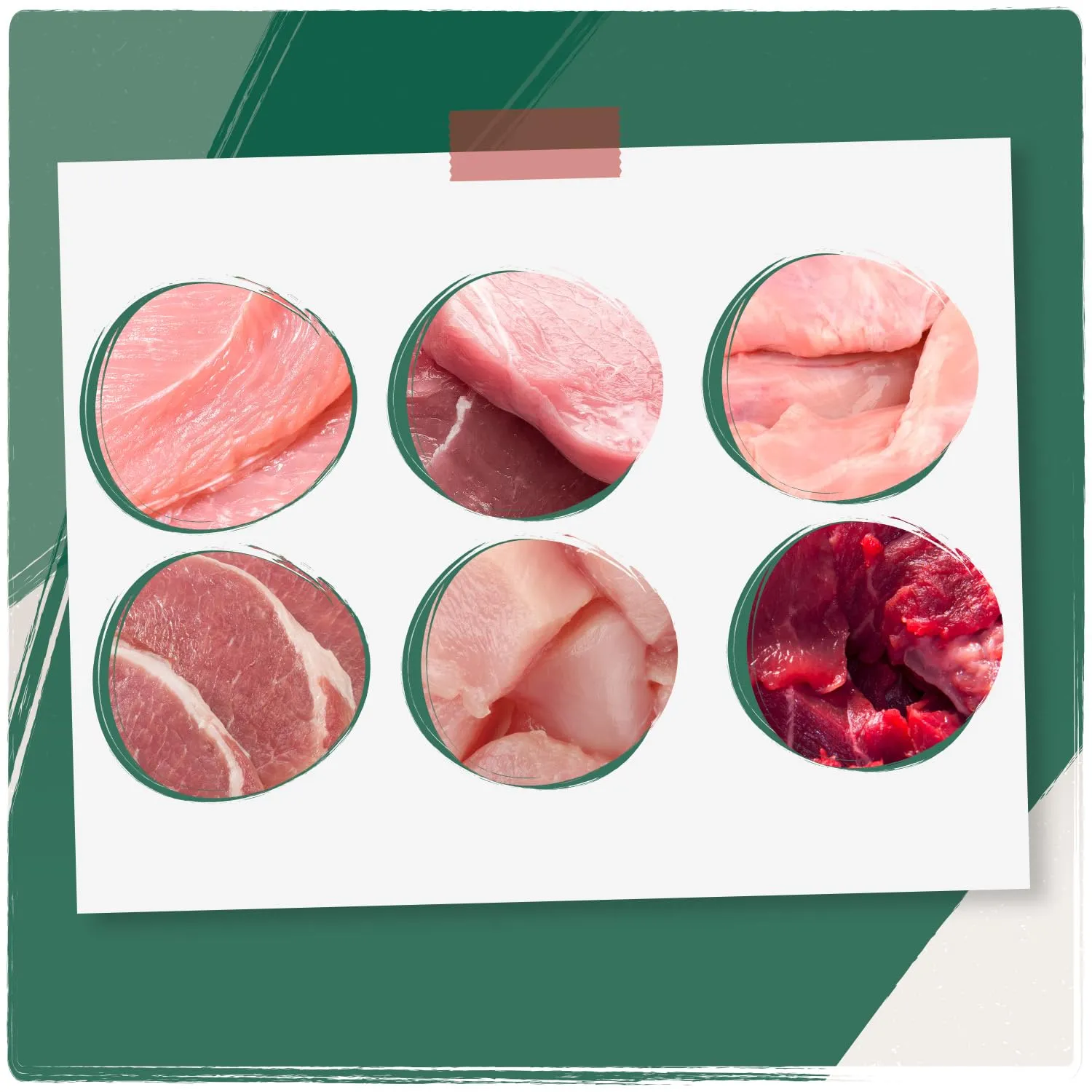 VenandiAnimal Cibo Umido per Gatti, Confezione di Prova III, Pollo, Tacchino, Manzo, Pollo + Coniglio, Vitello, Tacchino, 6 x 200 g, Senza Cereali, 1,2 kg - immagine 3