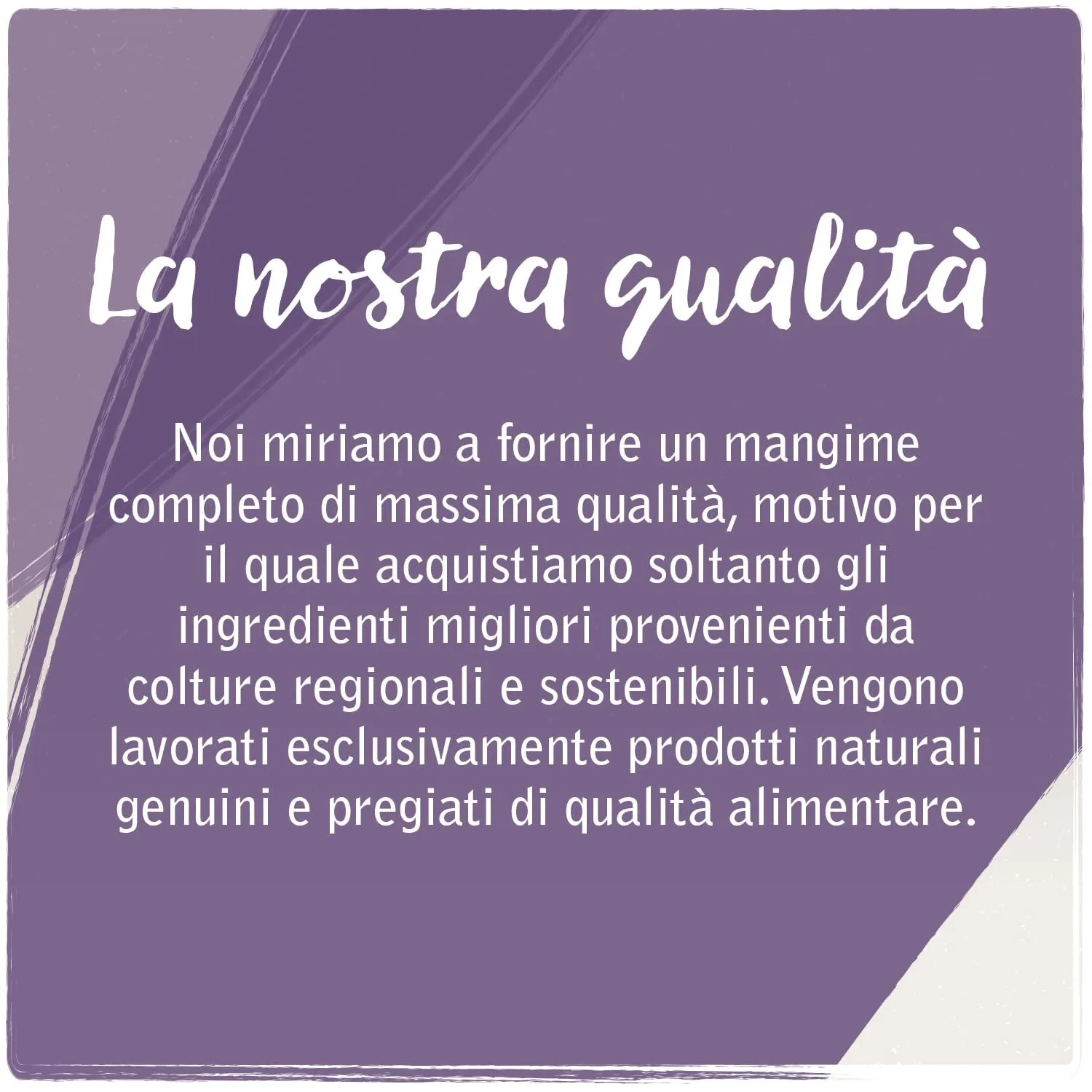VenandiAnimal Mangime per Gatti Premium Cavallo Mono-Proteina Senza Cereali, 12 x 125 g - immagine 2