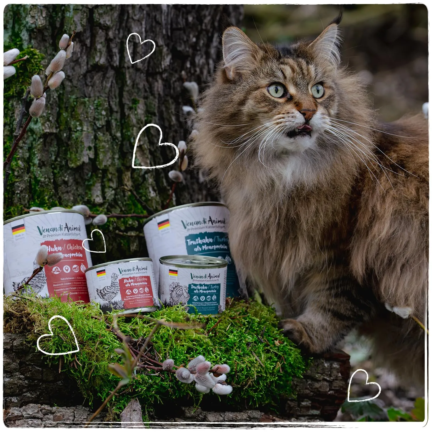 Venandi Animal Mangime per Gatti Premium Tacchino Mono-Proteina Senza Cereali 6 x 200 g - immagine 7