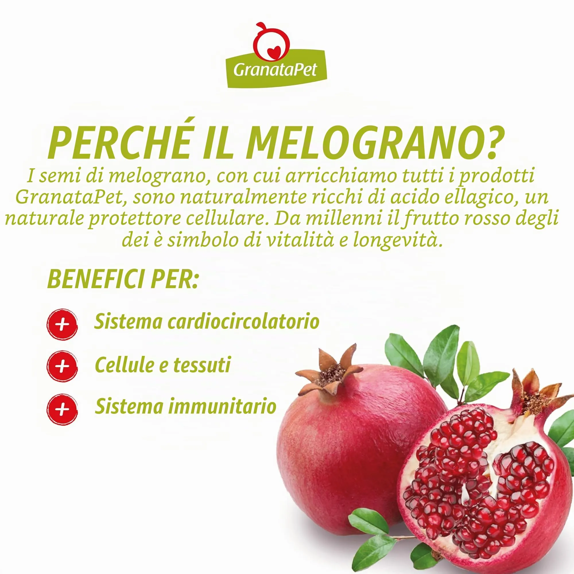 GranataPet Liebling's Mahlzeit Manzo Angus e Zucca, 6 x 800g - immagine 3