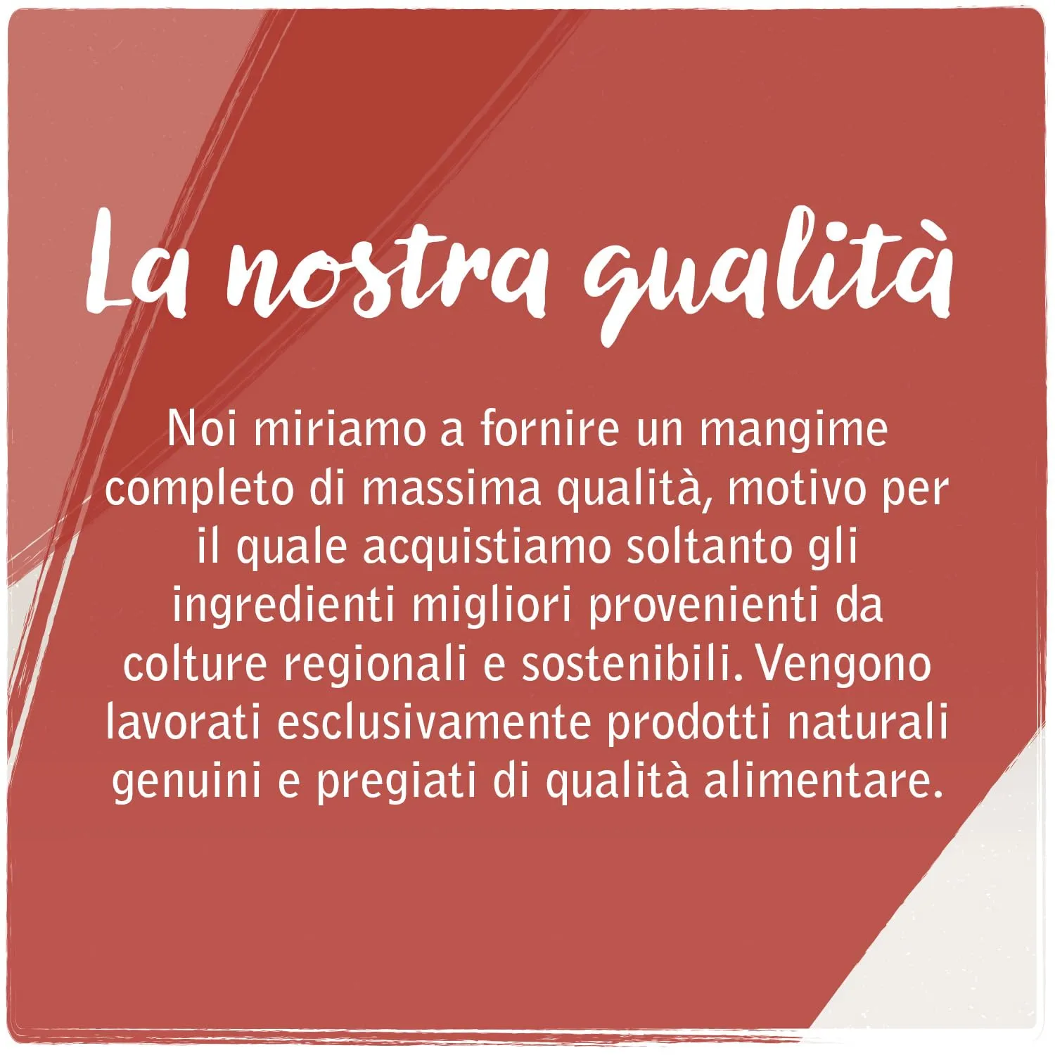 VenandiAnimal Alimento Umido per Gatti Monoproteico al Pollo, Senza Cereali, 6 x 200 g - immagine 2