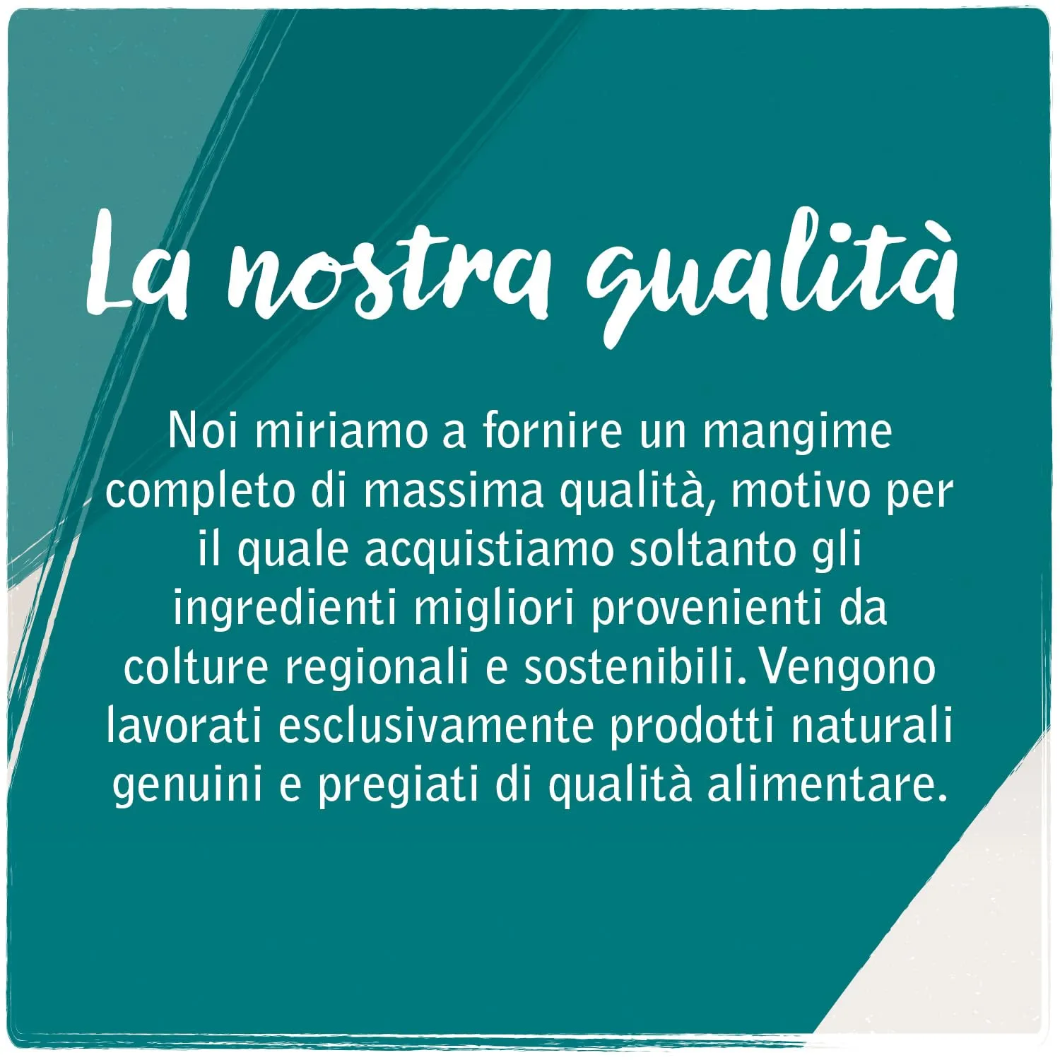 VenandiAnimal Mangime per Gatti Premium Tacchino Mono-Proteina Senza Cereali 12 x 125 g - immagine 2