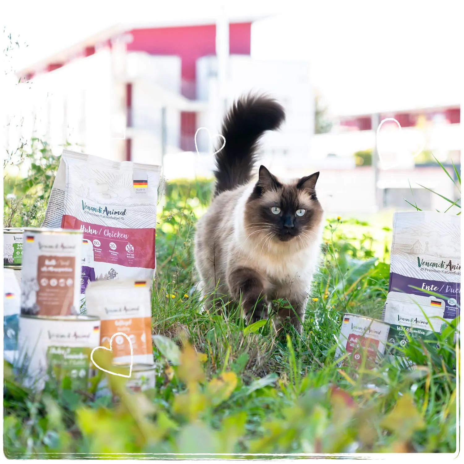 VenandiAnimal Cibo Umido per Gatti, Confezione di Prova III, Pollo, Tacchino, Manzo, Pollo + Coniglio, Vitello, Tacchino, 6 x 400 g, Senza Cereali e Naturale, 2.4 kg - immagine 7