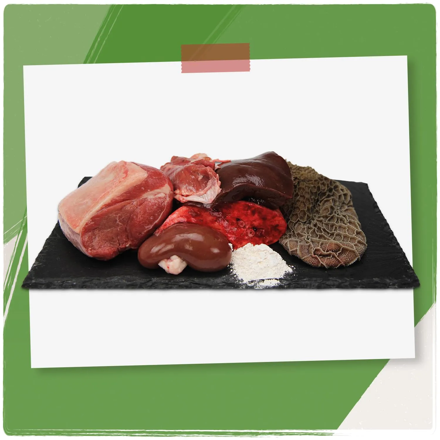 VenandiAnimal Mangime per Gatti Premium, Pecora Mono-Proteina, Senza Cereali, 12 x 125 g - immagine 3
