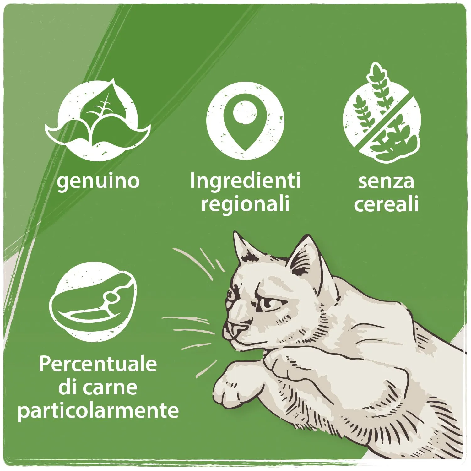 VenandiAnimal Mangime per Gatti Premium, Pecora Mono-Proteina, Senza Cereali, 12 x 125 g - immagine 4